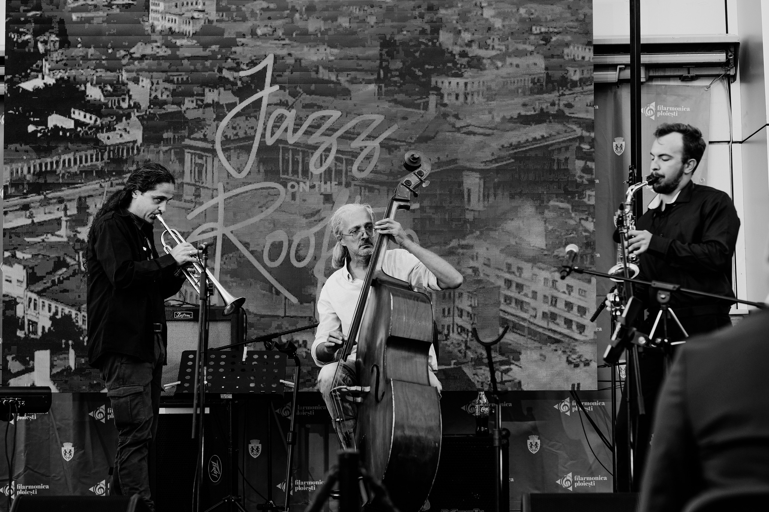 David Luca Trio. Hornetart