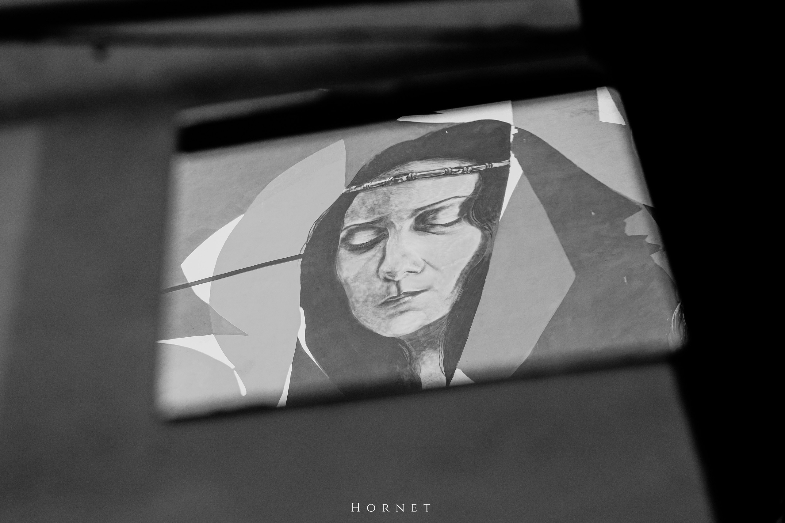 7.02.2025 Ploiesti | Romania. Hornetart