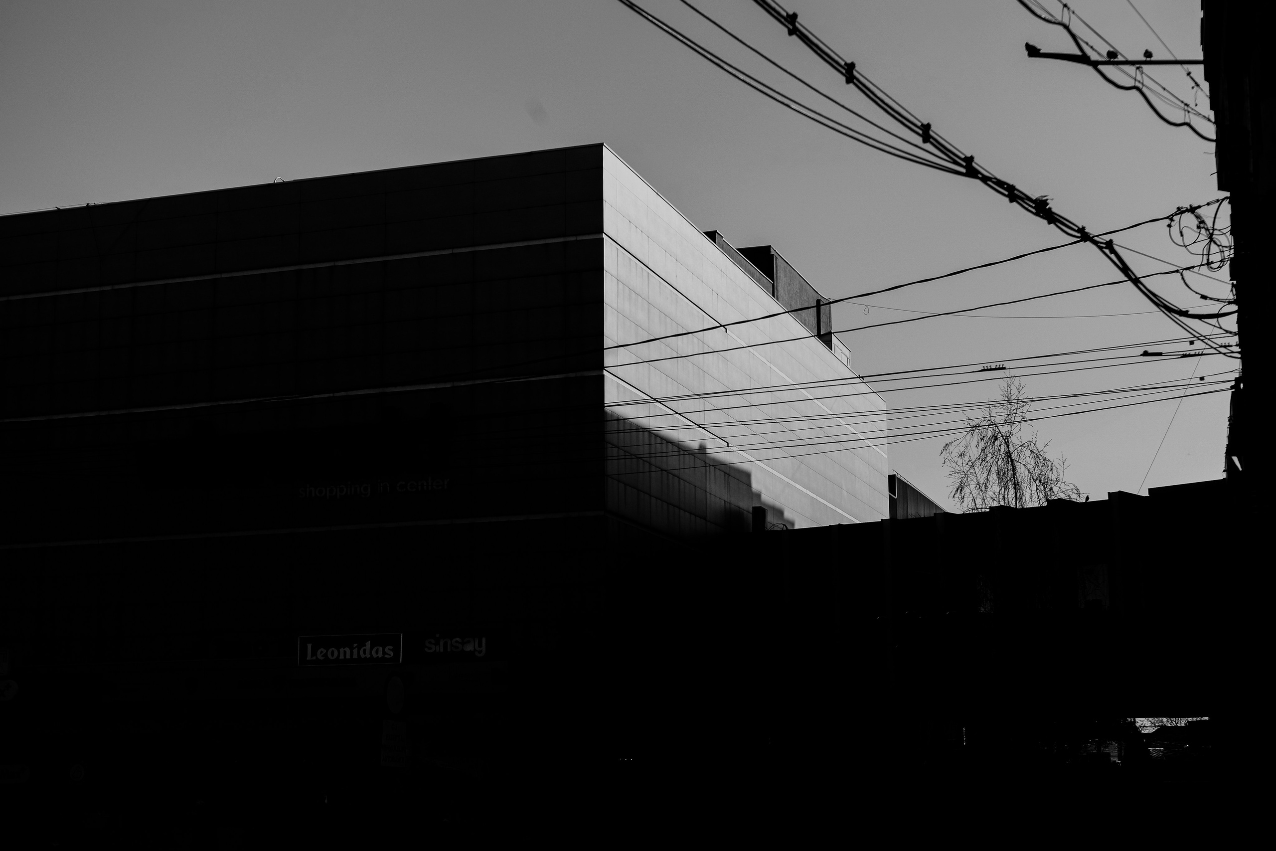 5.04.2026 Ploiesti | Romania. Hornetart