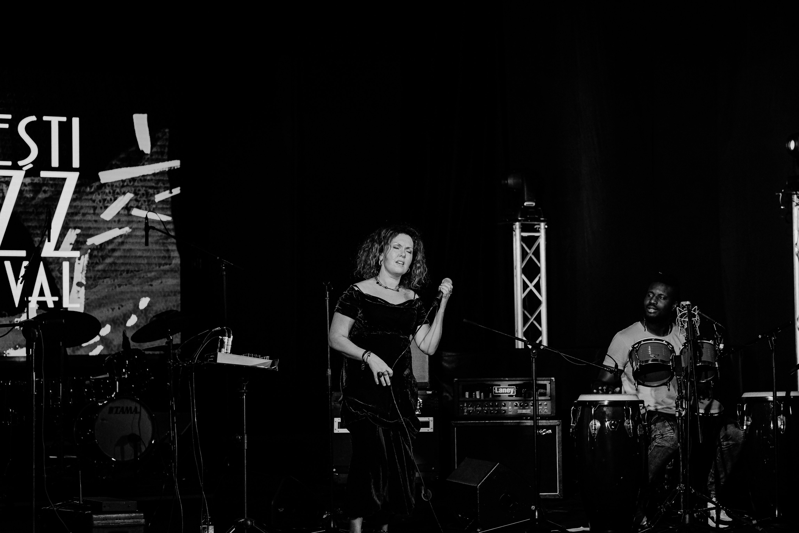 Kristin Asbjornsen Trio. Hornetart