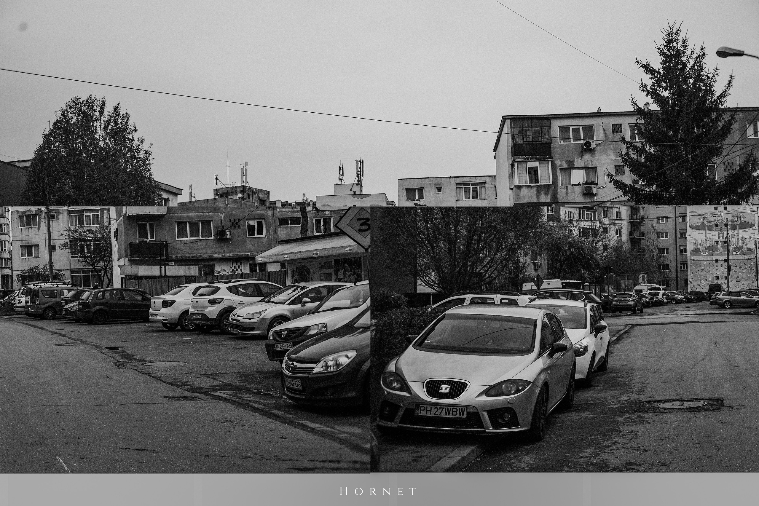 29.03.2025 Ploiesti | Romania. Hornetart