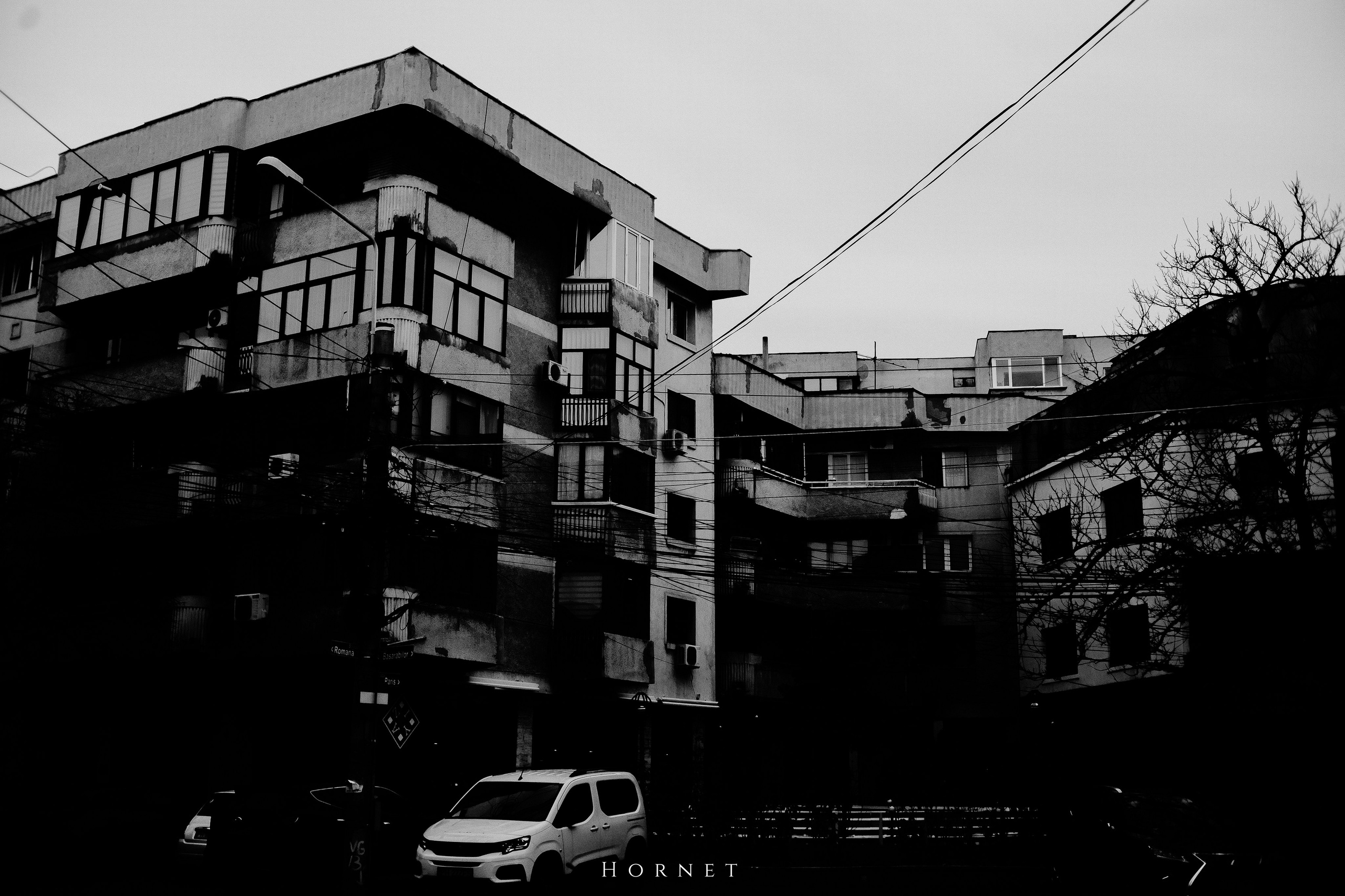7.01.2025 Ploiesti | Romania. Hornetart