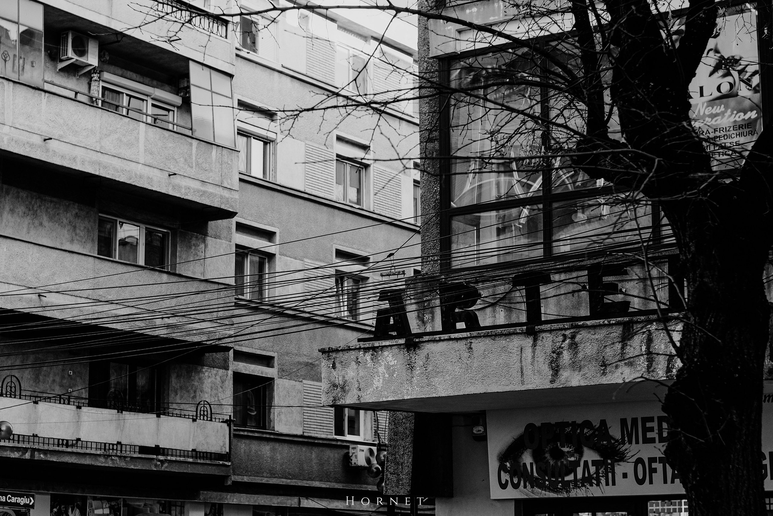 7.02.2025 Ploiesti | Romania. Hornetart