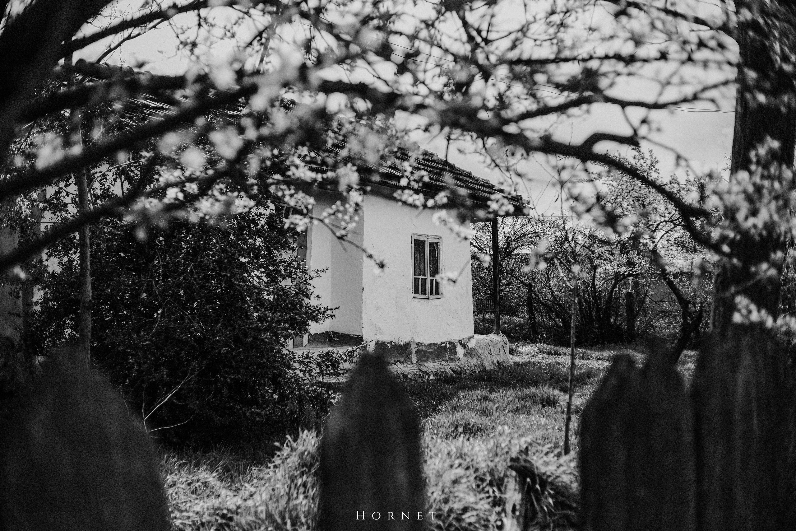 30.03.2025 Buzau | Romania. Hornetart