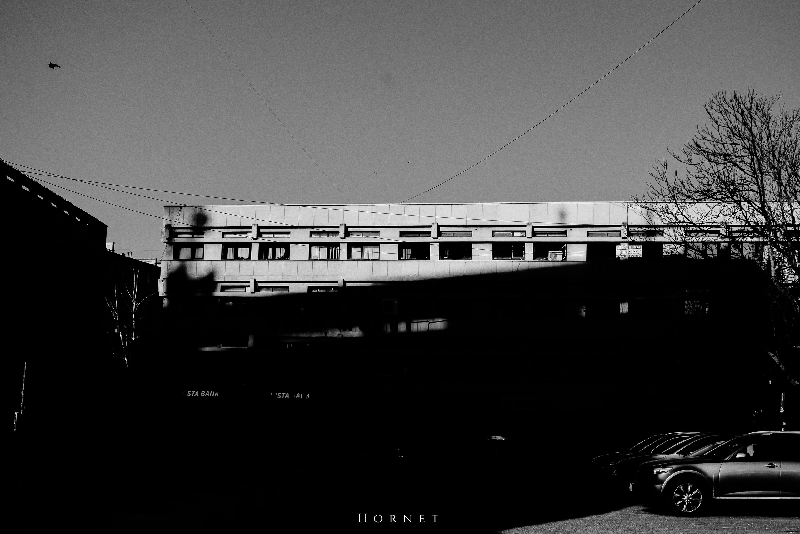 14.03.2026 Ploiesti | Romania. Hornetart