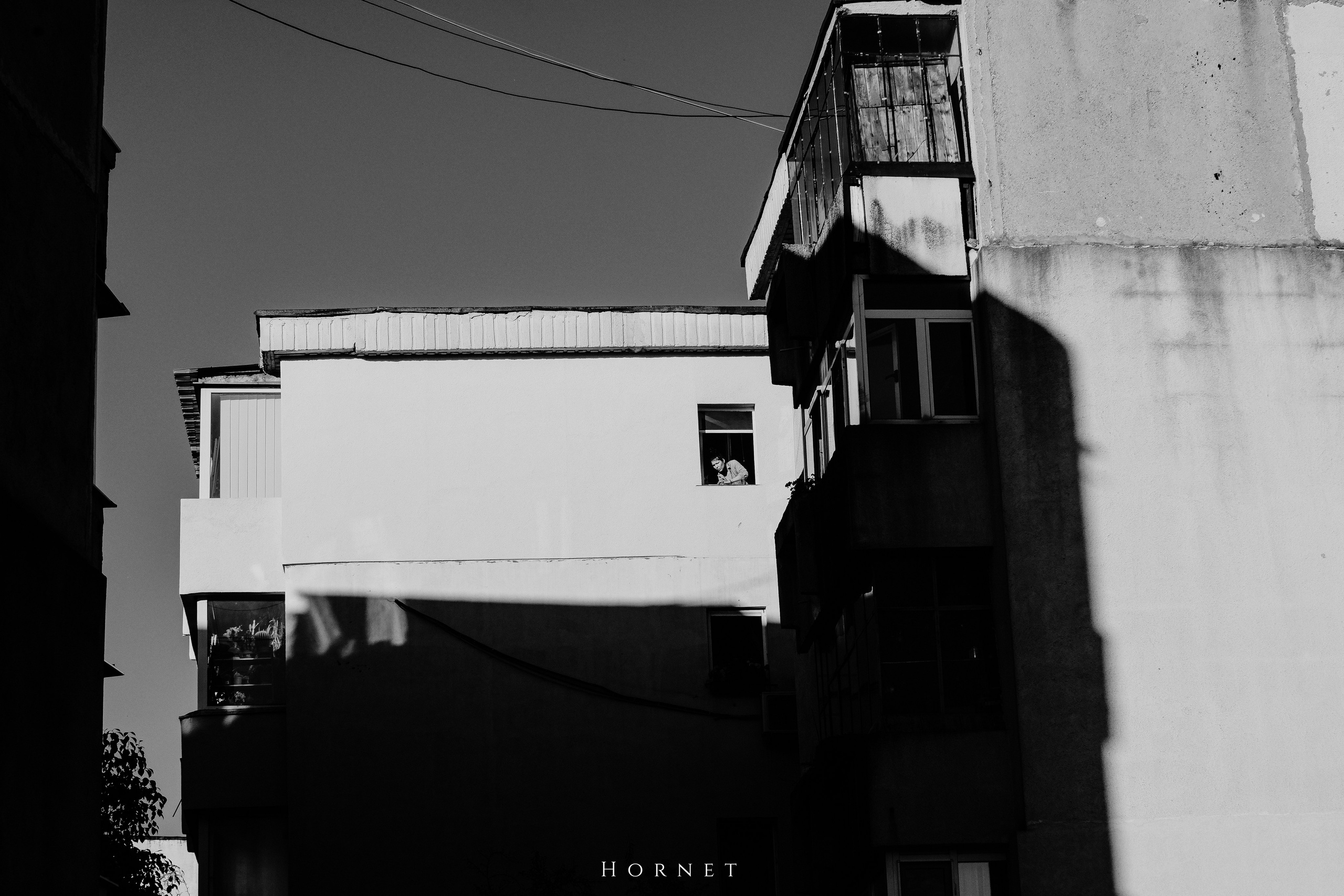 2.11.2025 Ploiesti | Romania. Hornetart