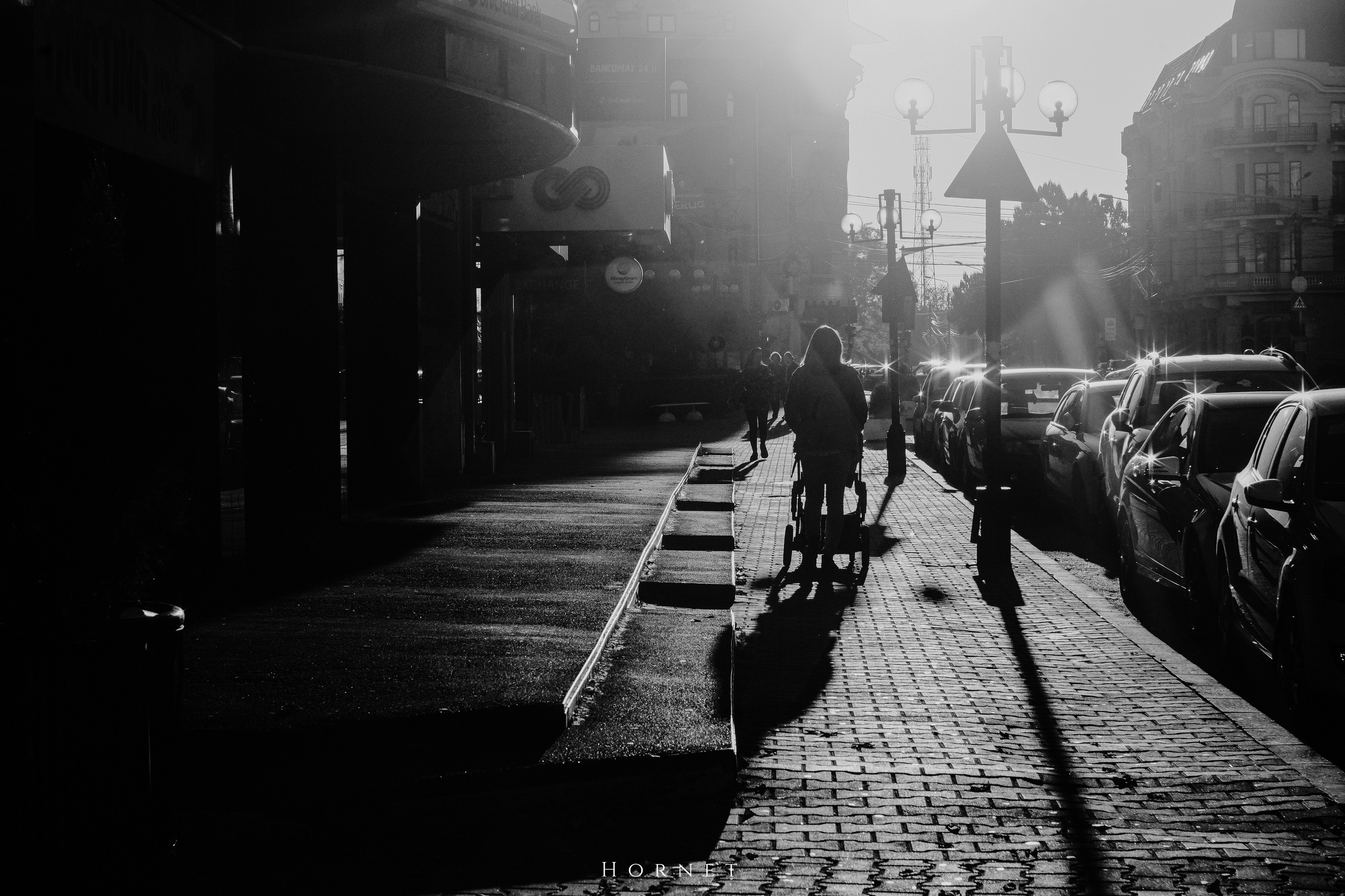 2.11.2025 Ploiesti | Romania. Hornetart