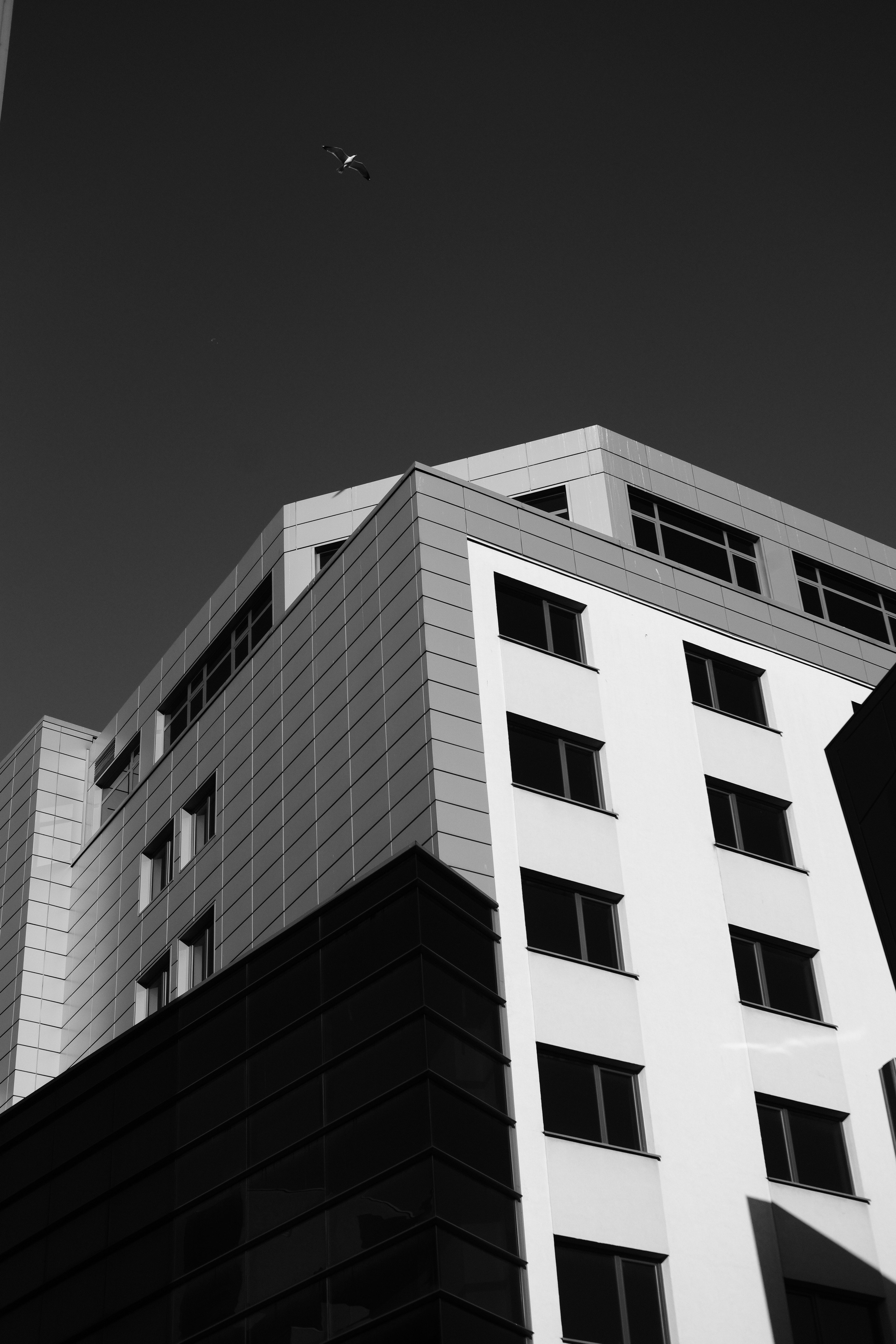 5.04.2026 Ploiesti | Romania. Hornetart