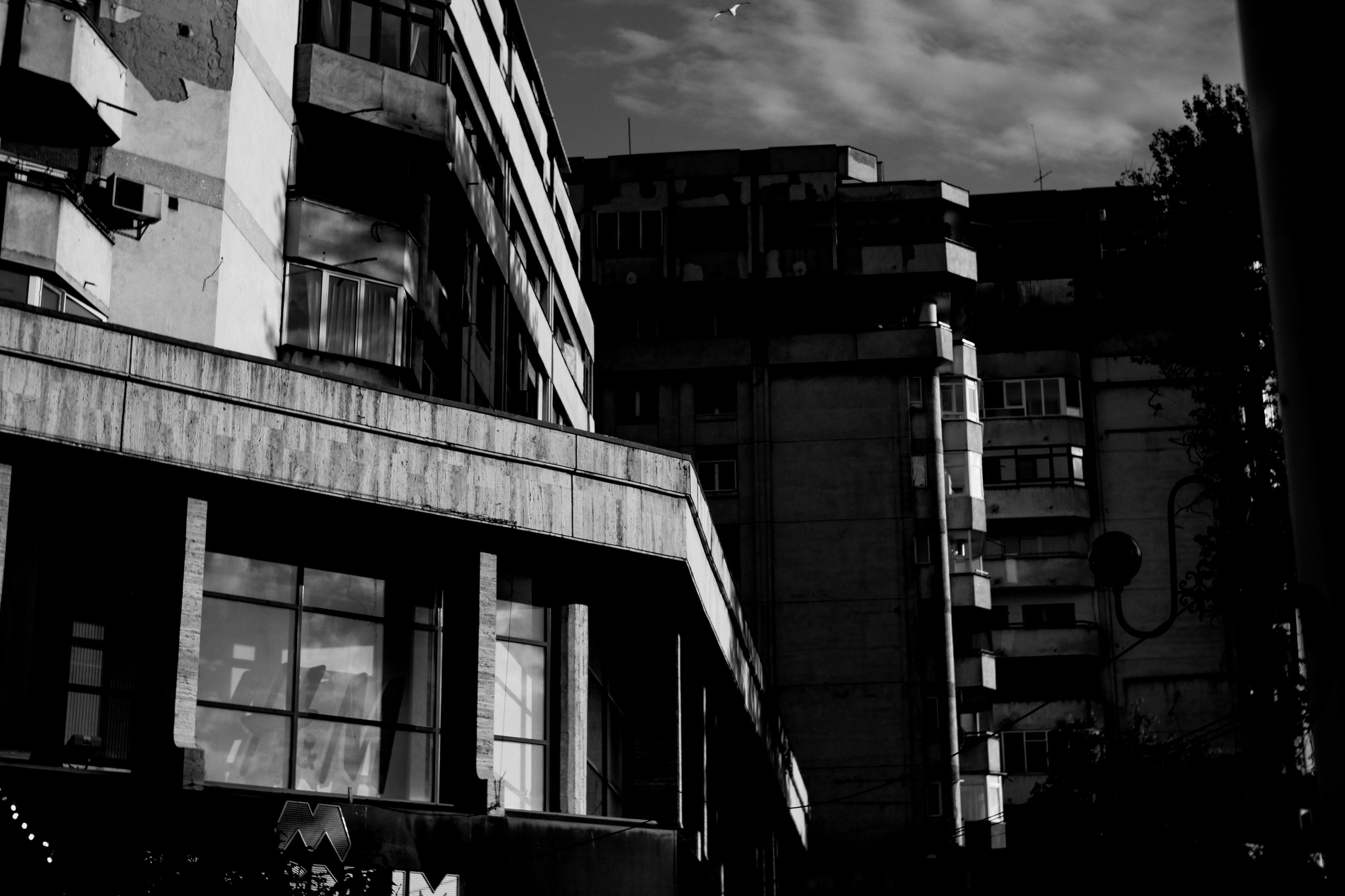 21.06.2025 Ploiesti | Romania. Hornetart