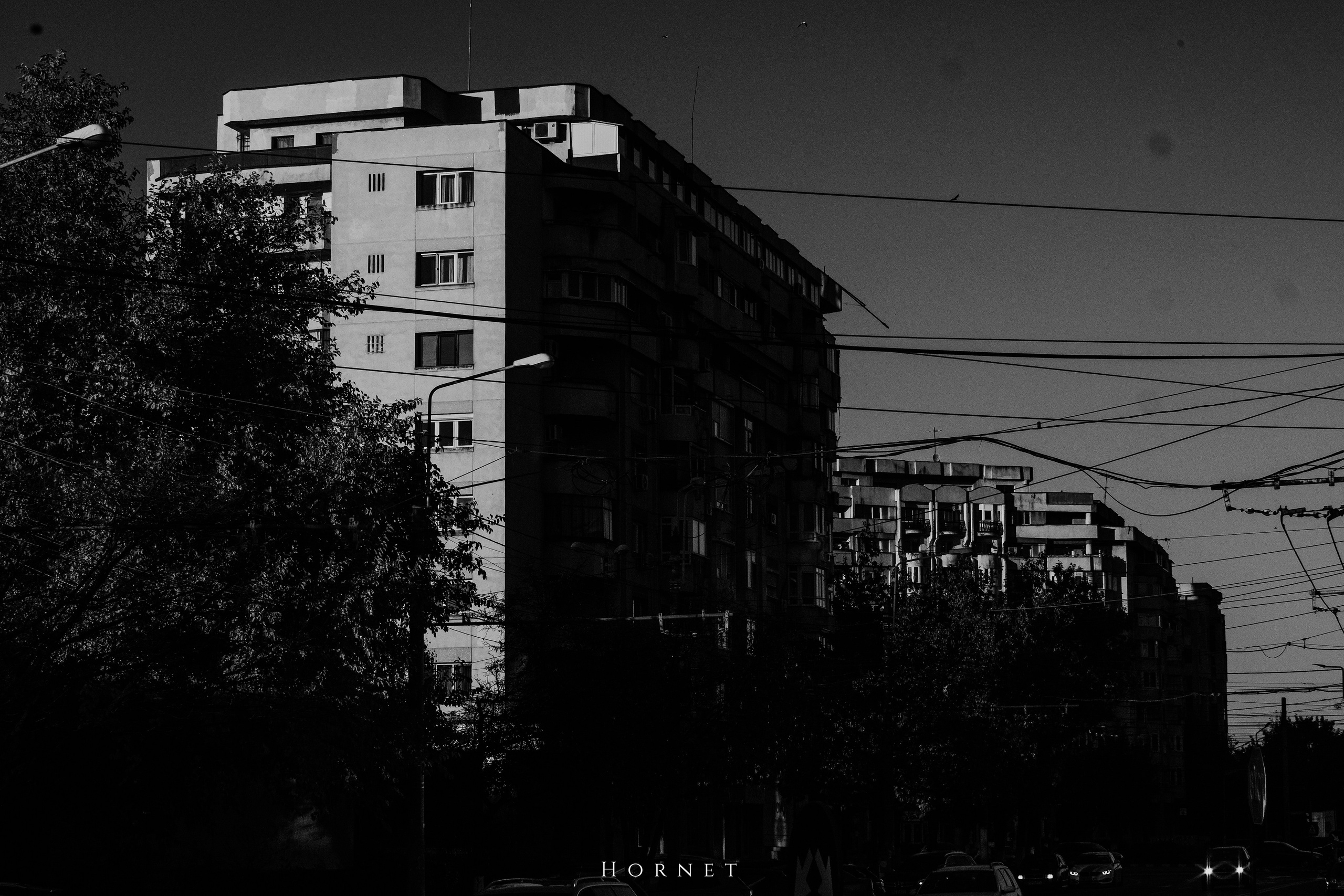 2.11.2025 Ploiesti | Romania. Hornetart