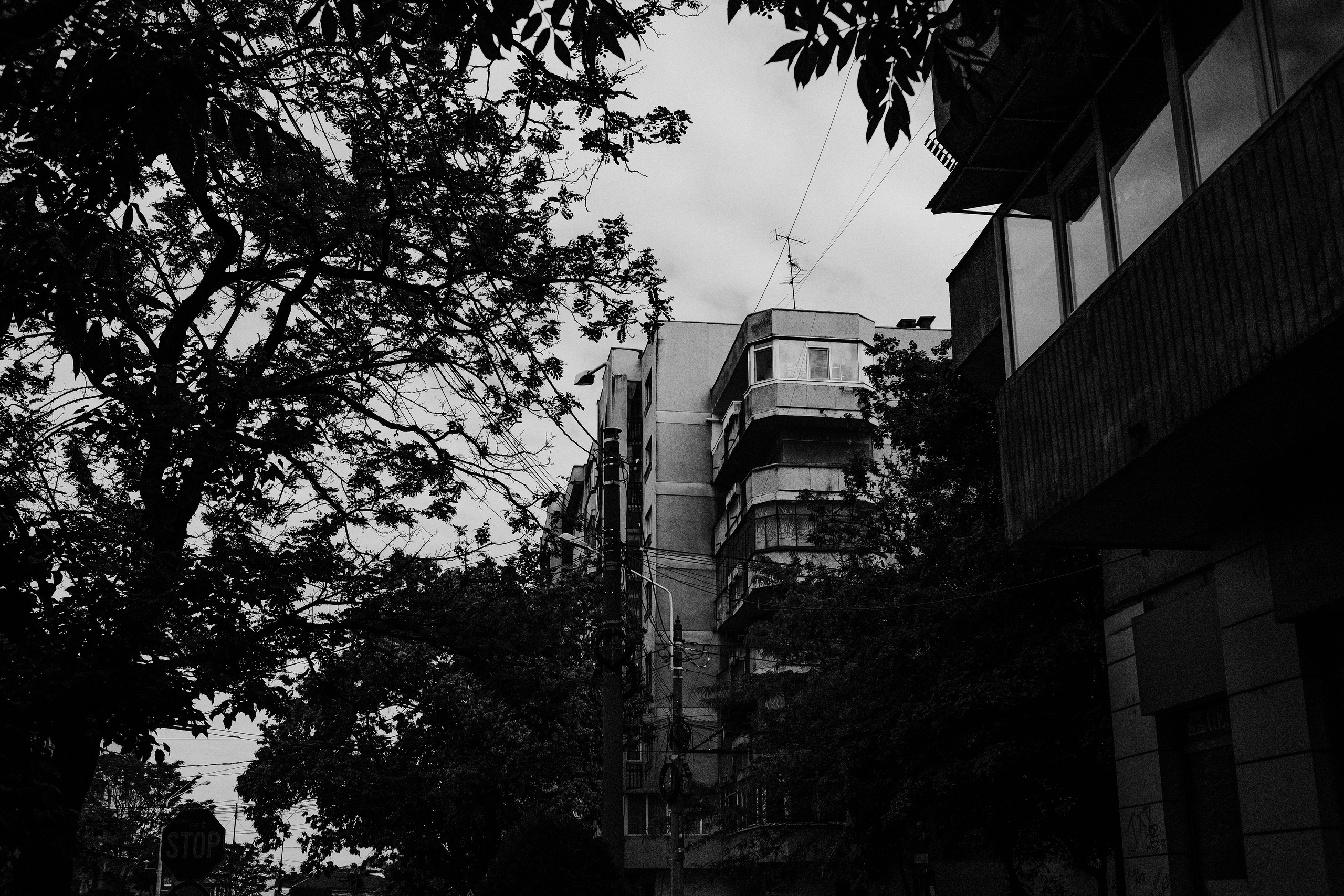 10.05.2025 Ploiesti | Romania. Hornetart