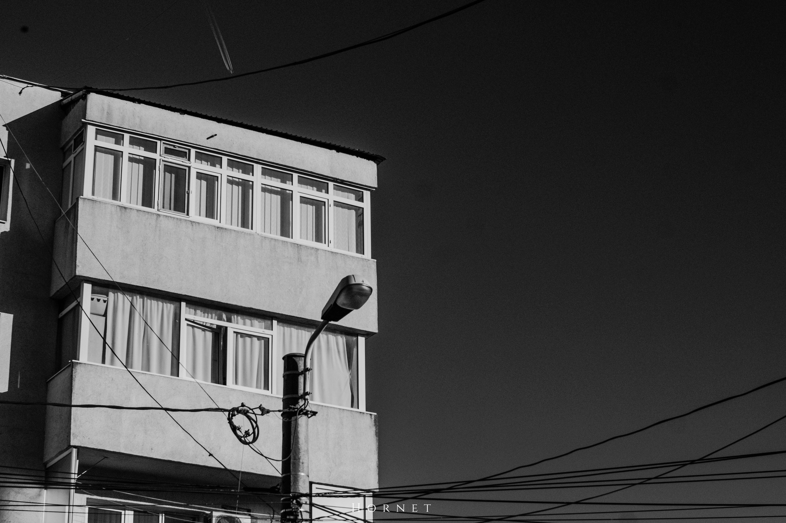 2.11.2025 Ploiesti | Romania. Hornetart