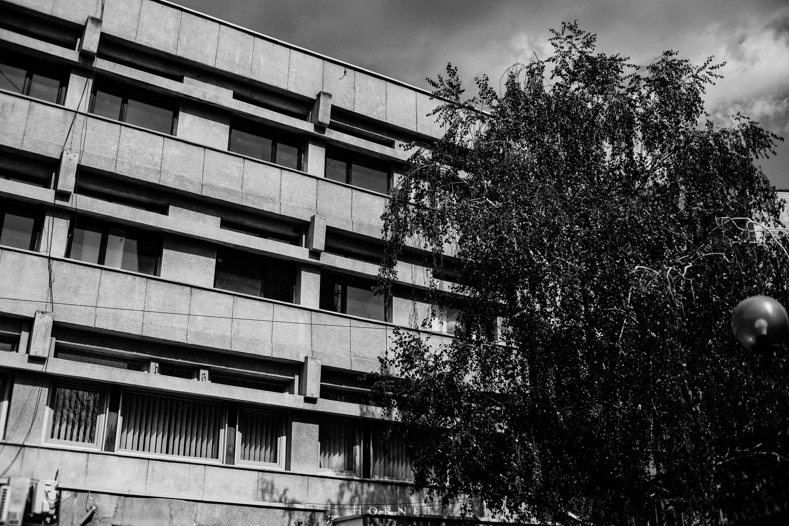 21.04.2025 Ploiesti | Romania. Hornetart
