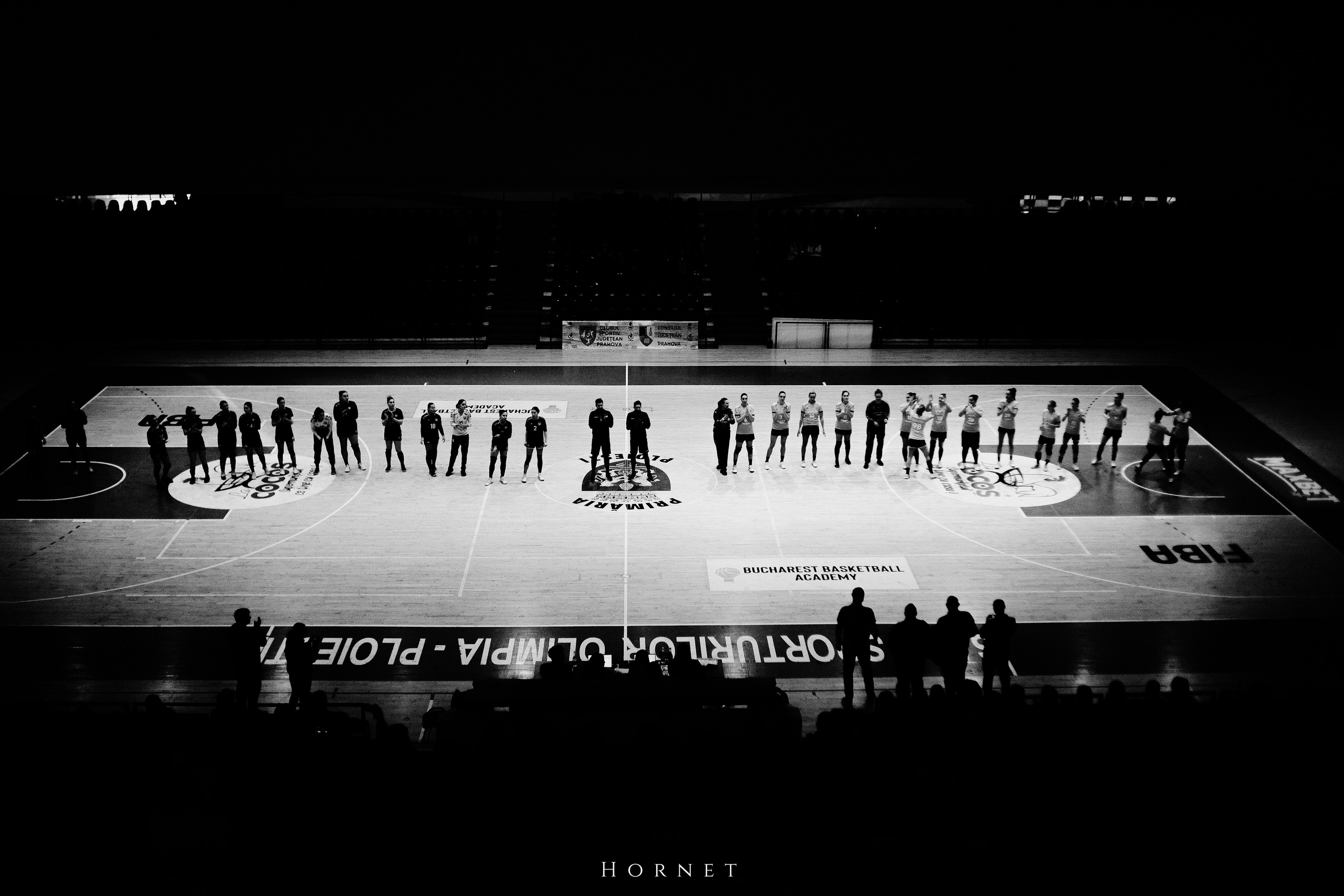 12.01.2025 Ploiesti | Romania. Hornetart