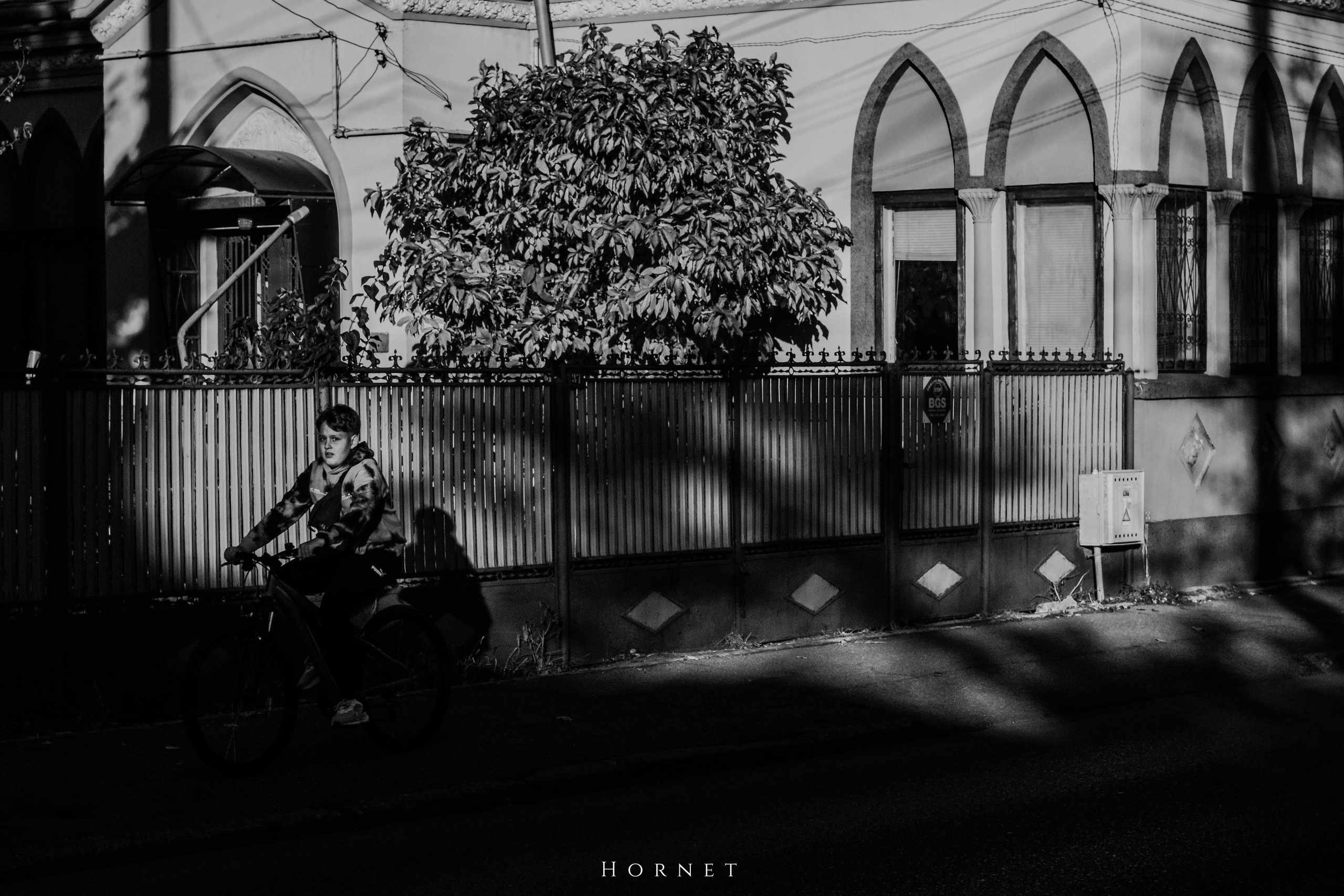 2.11.2025 Ploiesti | Romania. Hornetart