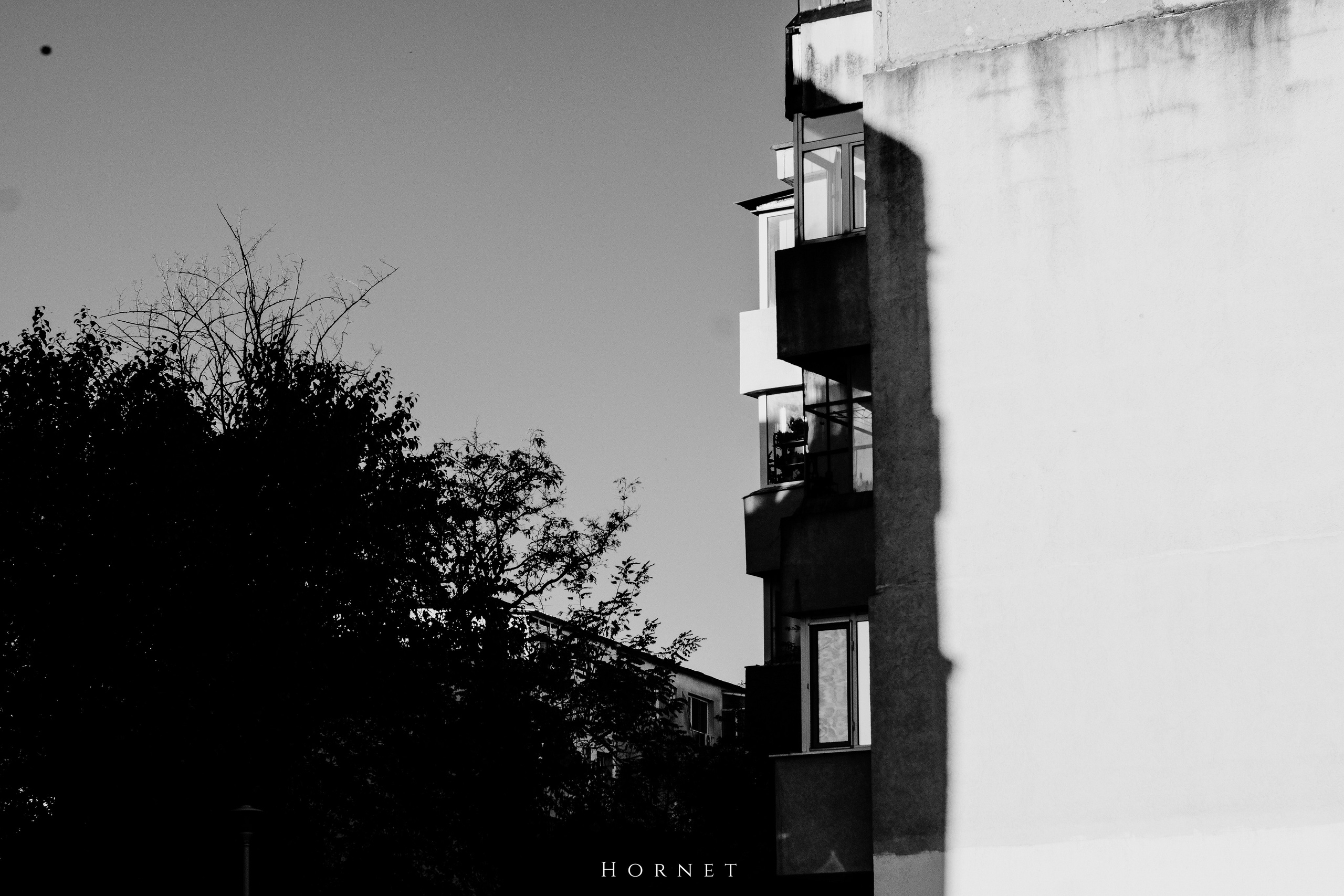 2.11.2025 Ploiesti | Romania. Hornetart