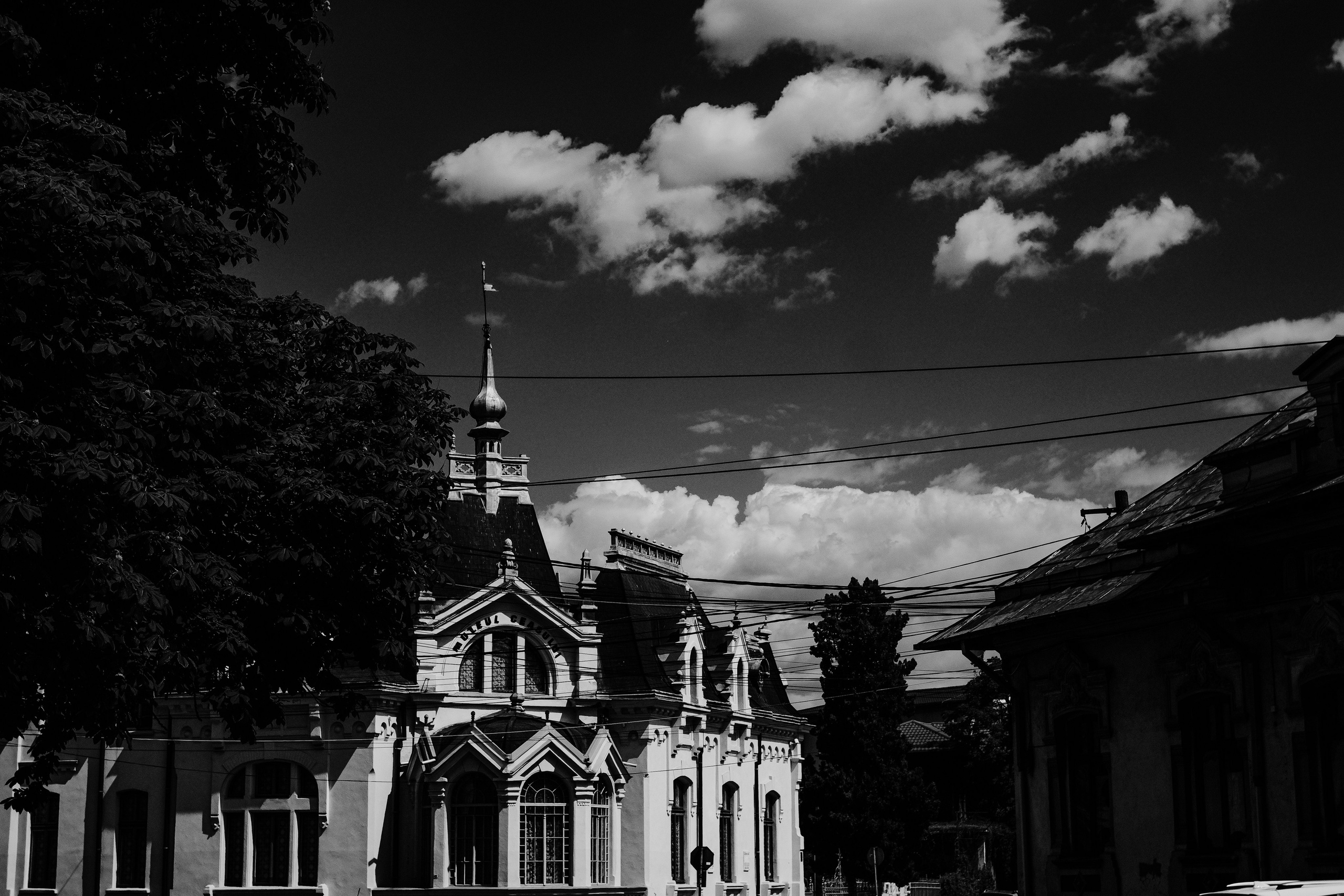 21.06.2025 Ploiesti | Romania. Hornetart