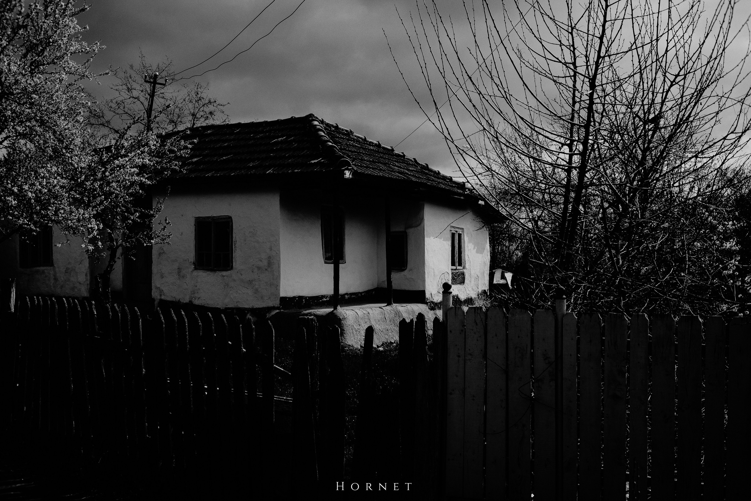 30.03.2025 Buzau | Romania. Hornetart