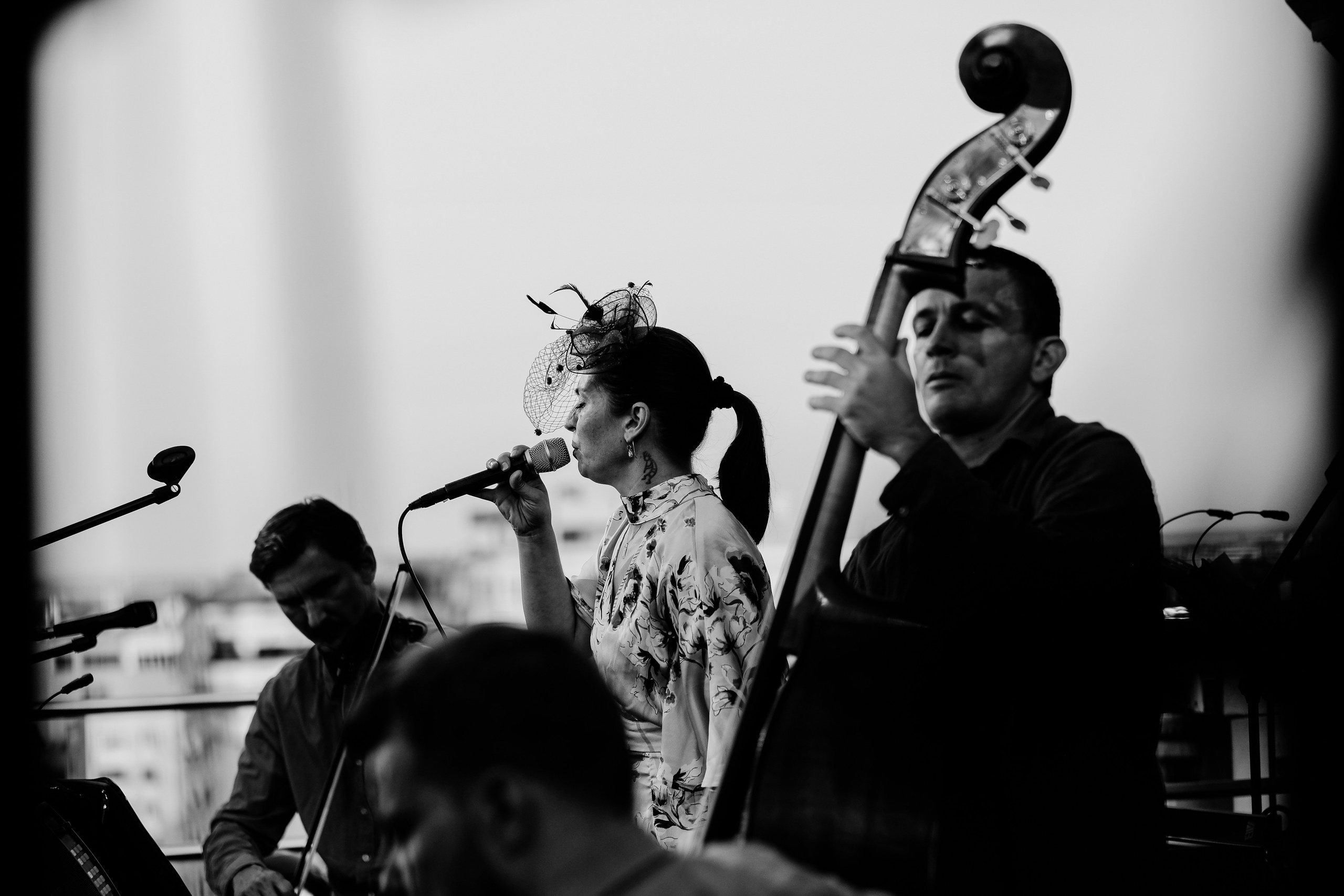 Luiza Zan & Jazzpar Trio. Hornetart