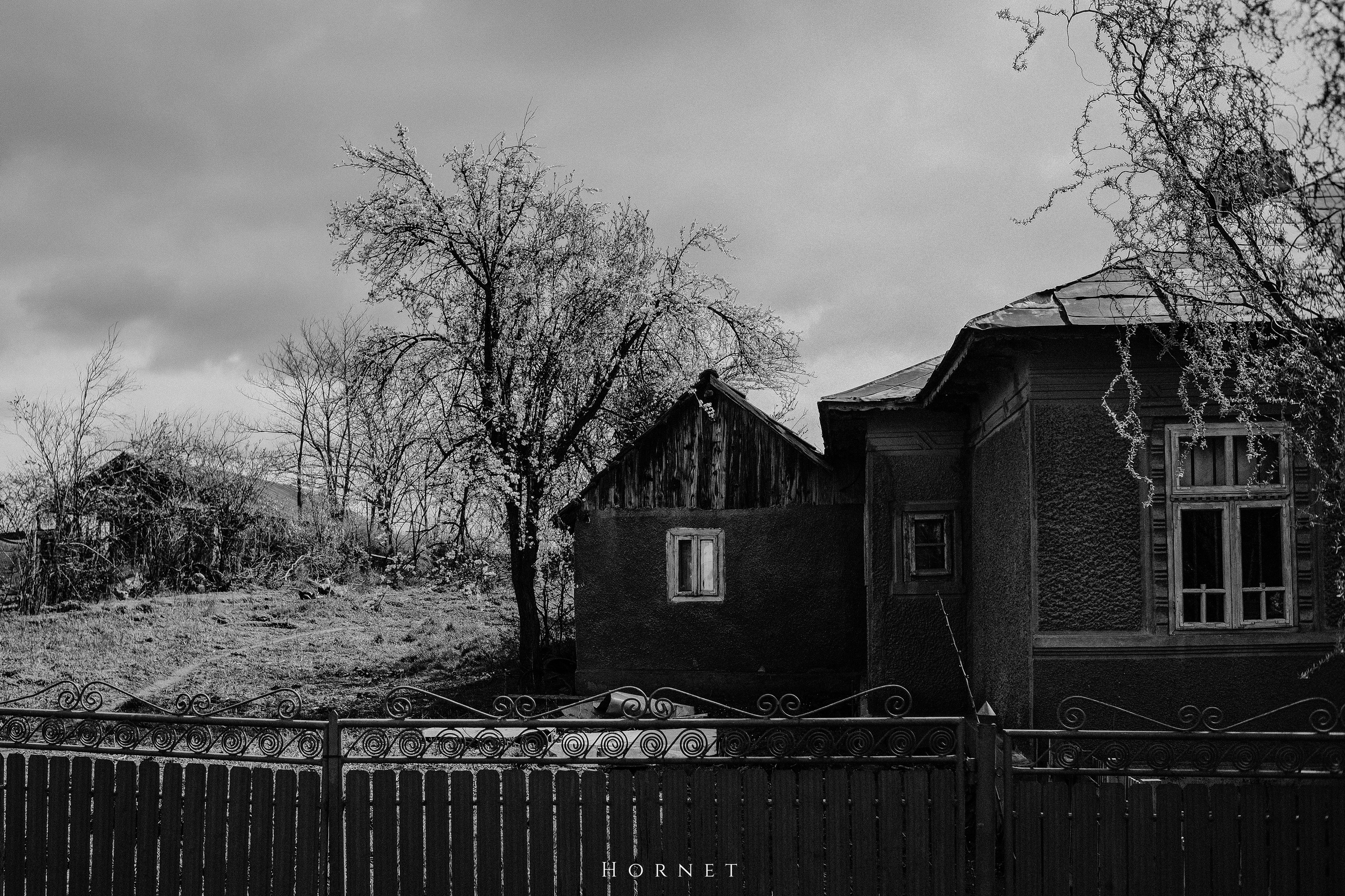 30.03.2025 Buzau | Romania. Hornetart