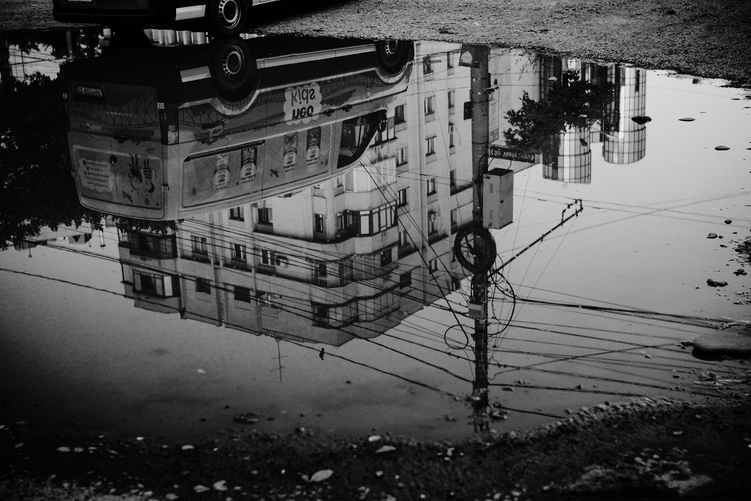 21.06.2025 Ploiesti | Romania. Hornetart