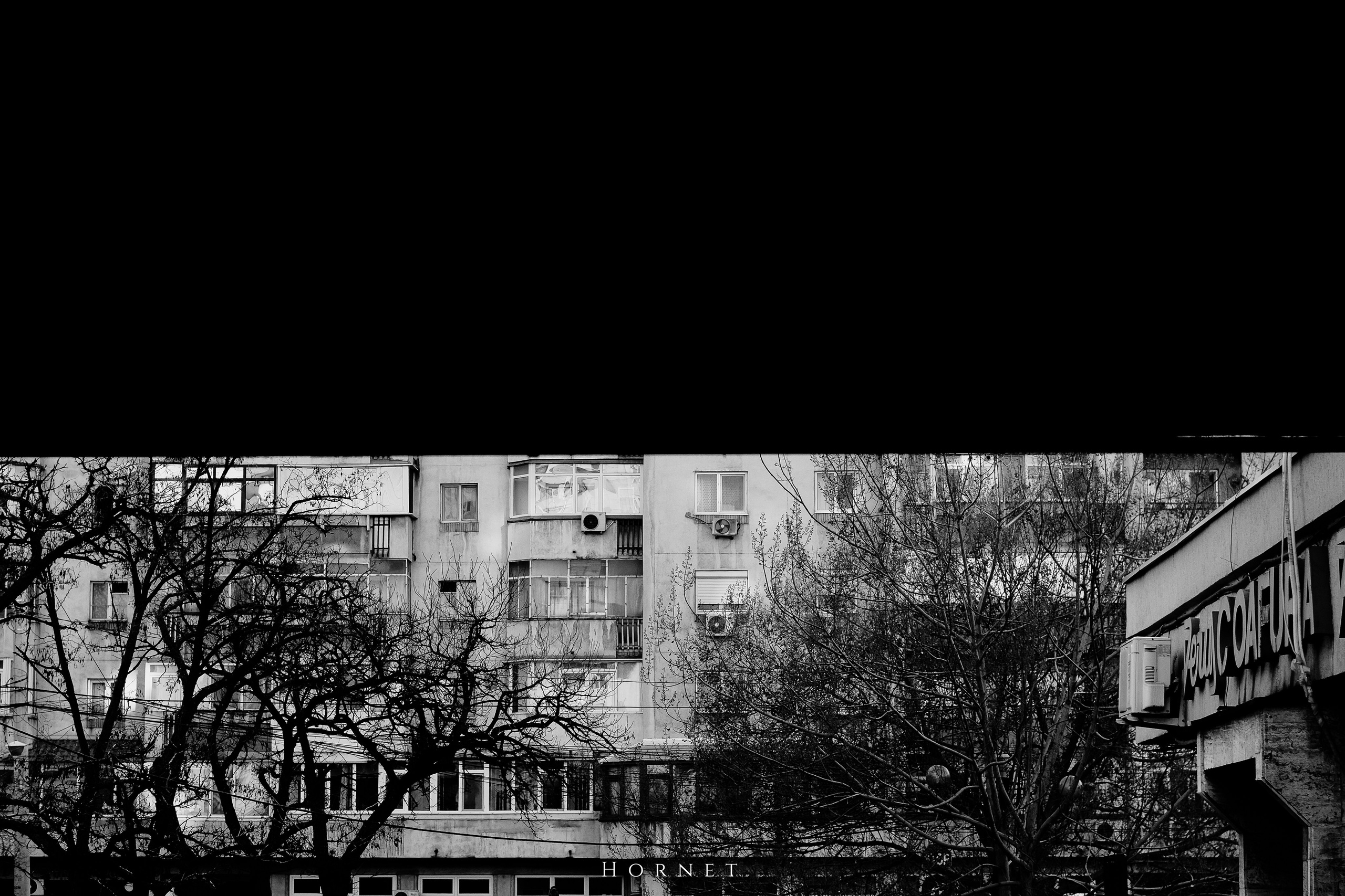 7.02.2025 Ploiesti | Romania. Hornetart