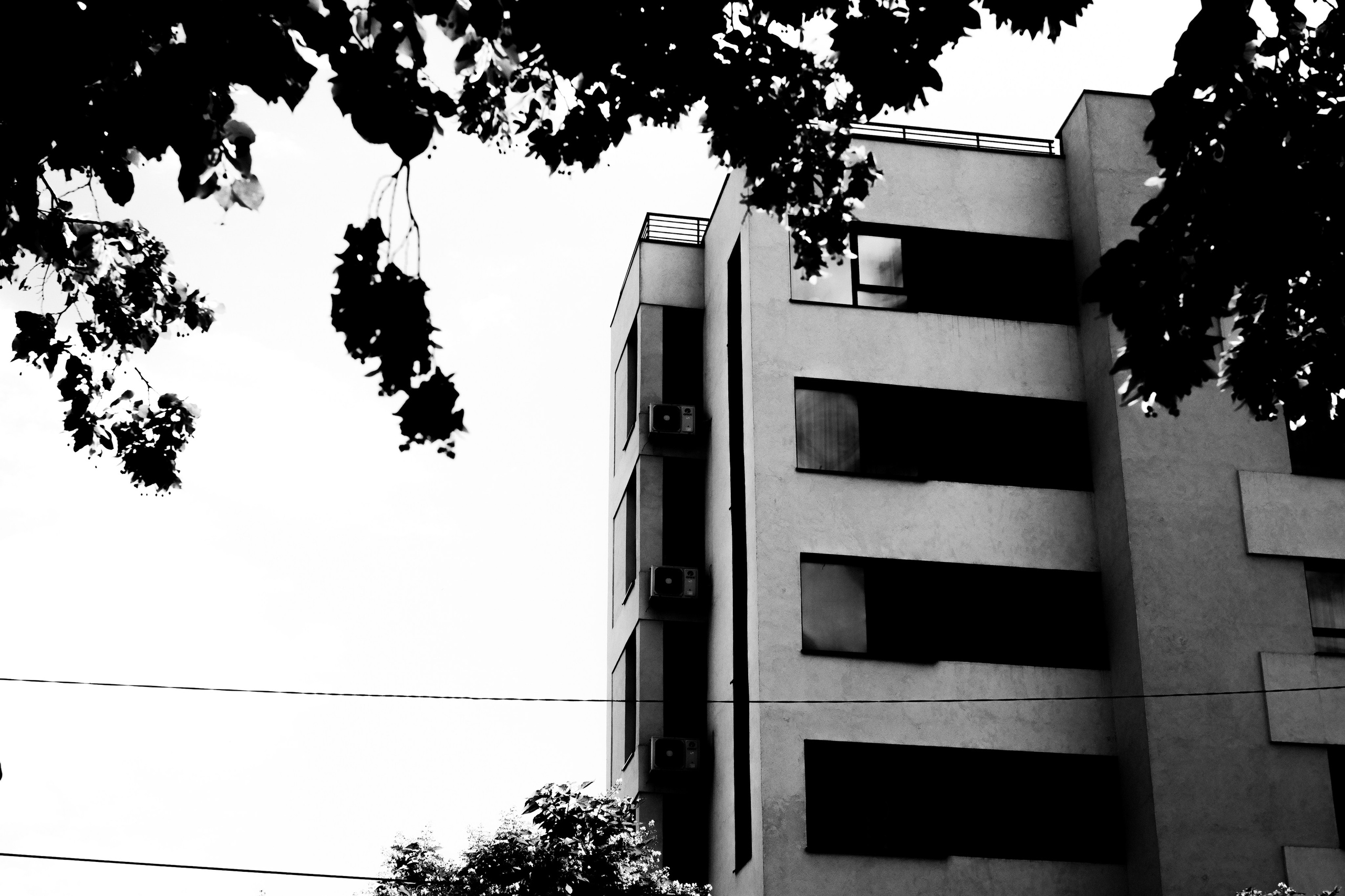 21.06.2025 Ploiesti | Romania. Hornetart