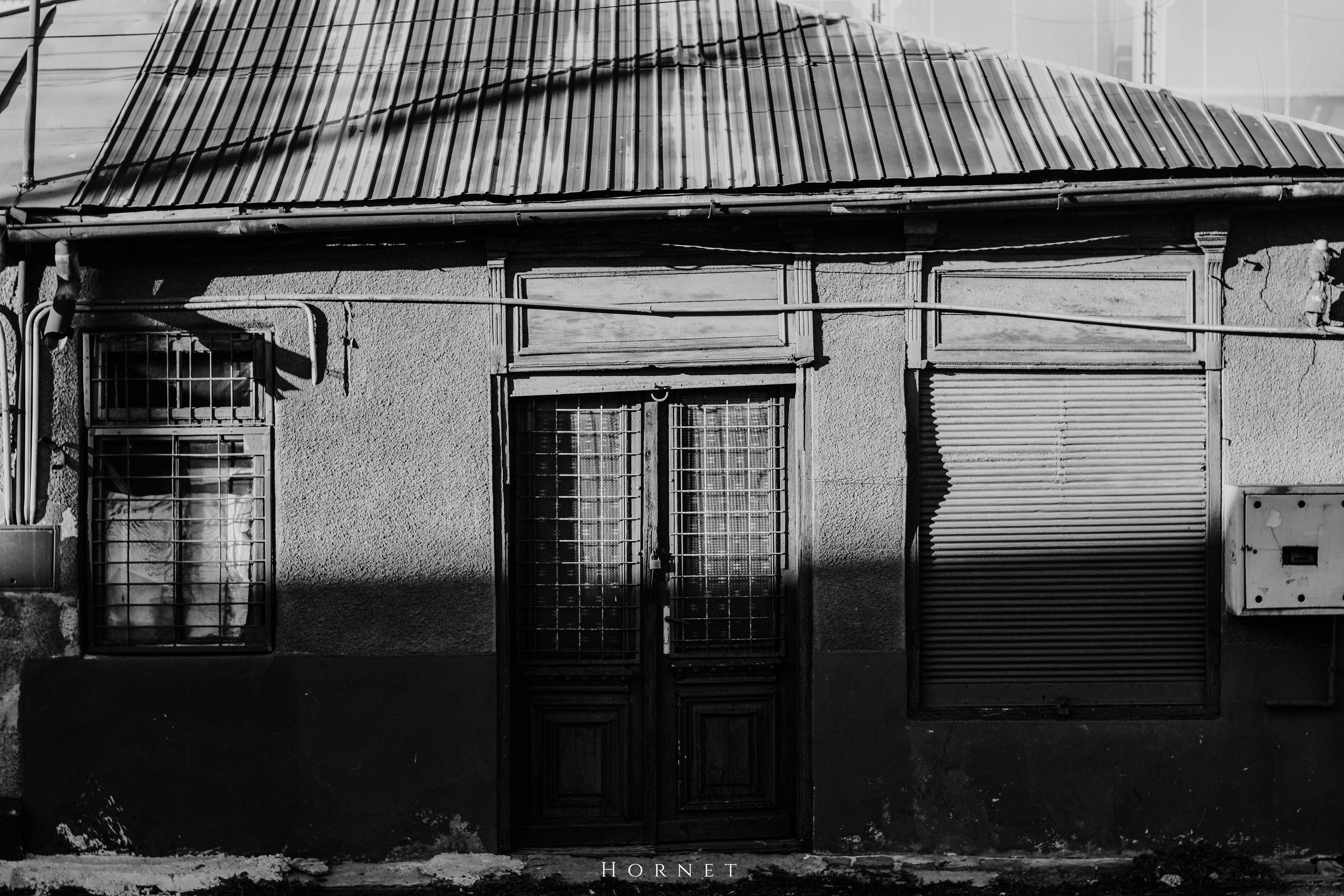 2.11.2025 Ploiesti | Romania. Hornetart