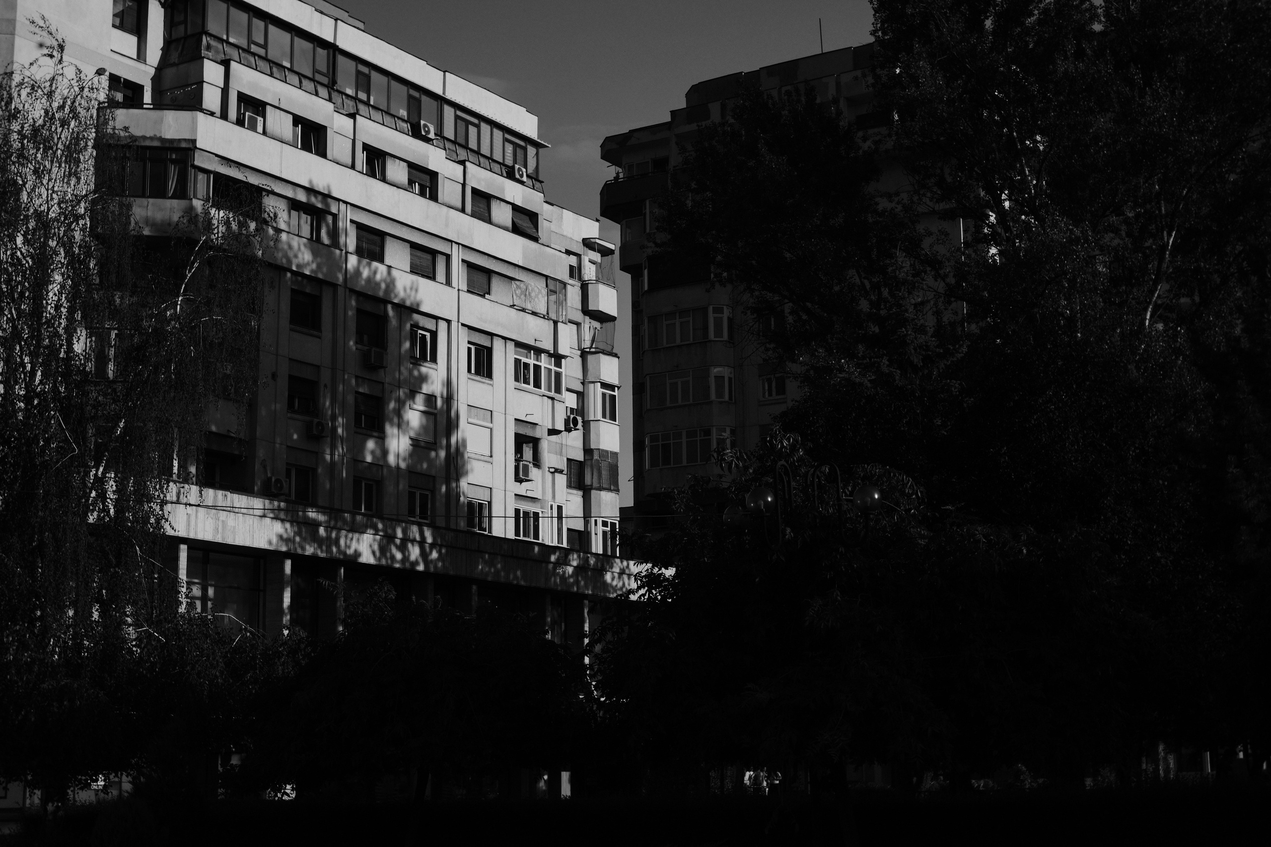 21.06.2025 Ploiesti | Romania. Hornetart