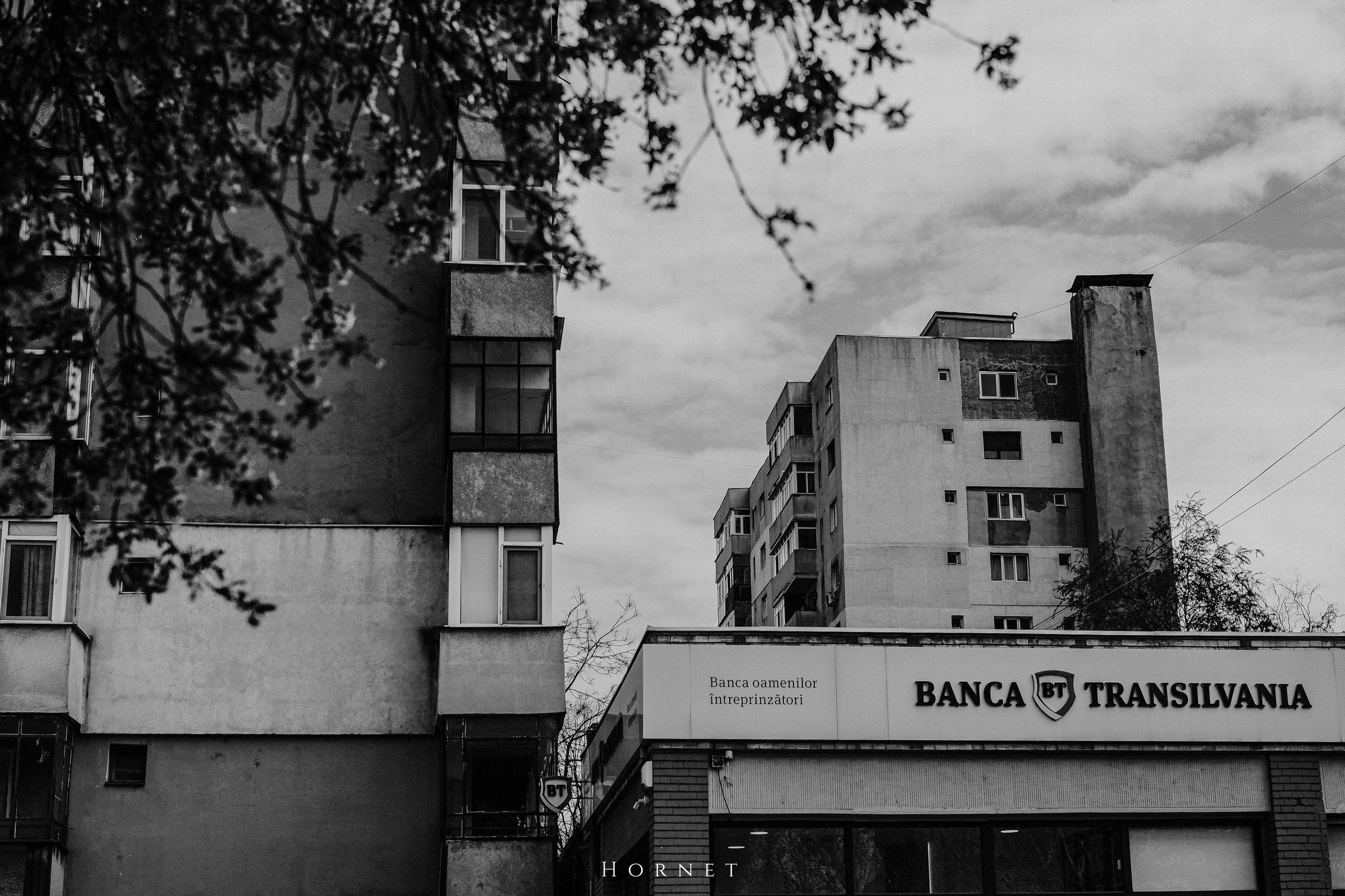 12.04.2025 Ploiesti | Romania. Hornetart