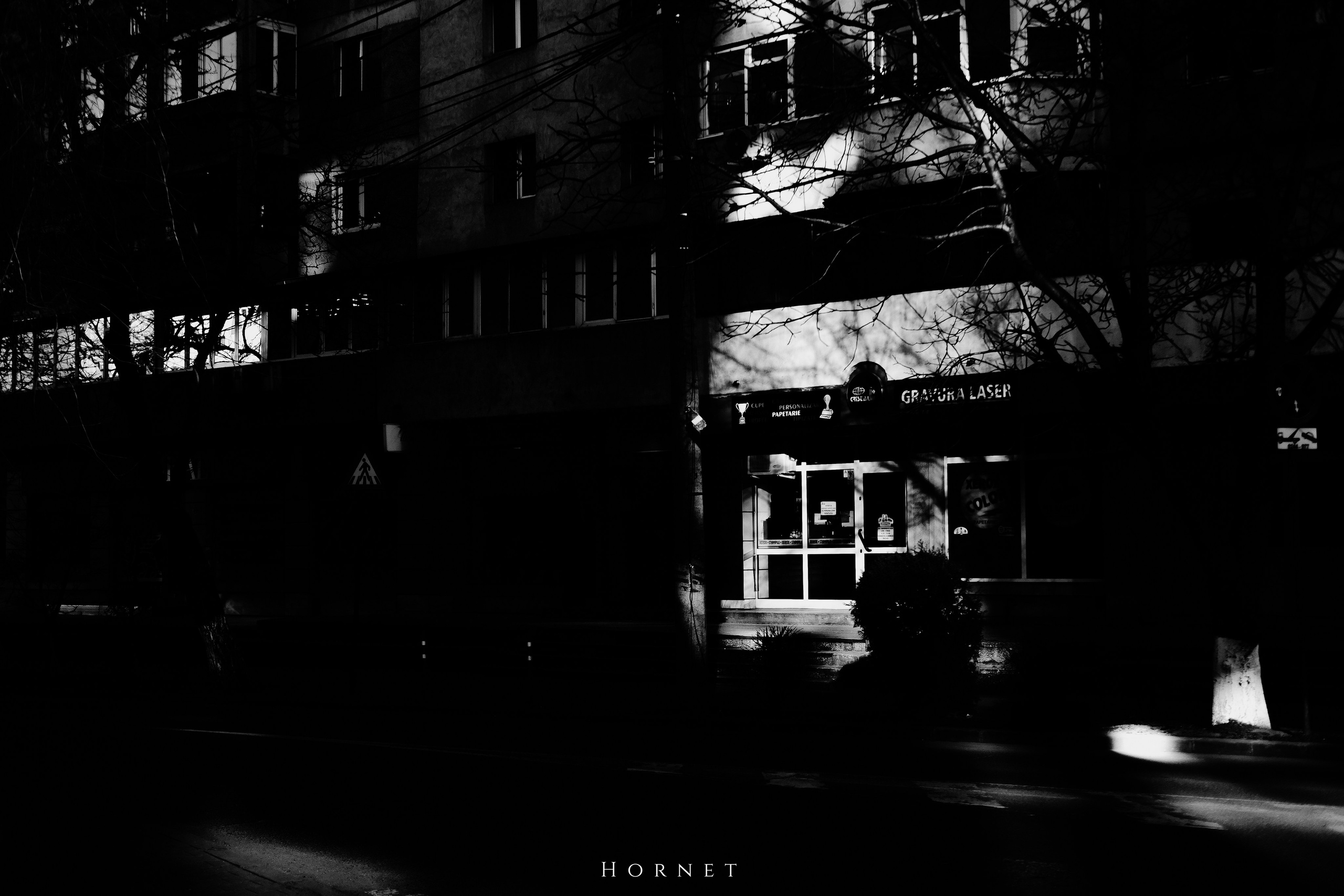 14.03.2026 Ploiesti | Romania. Hornetart