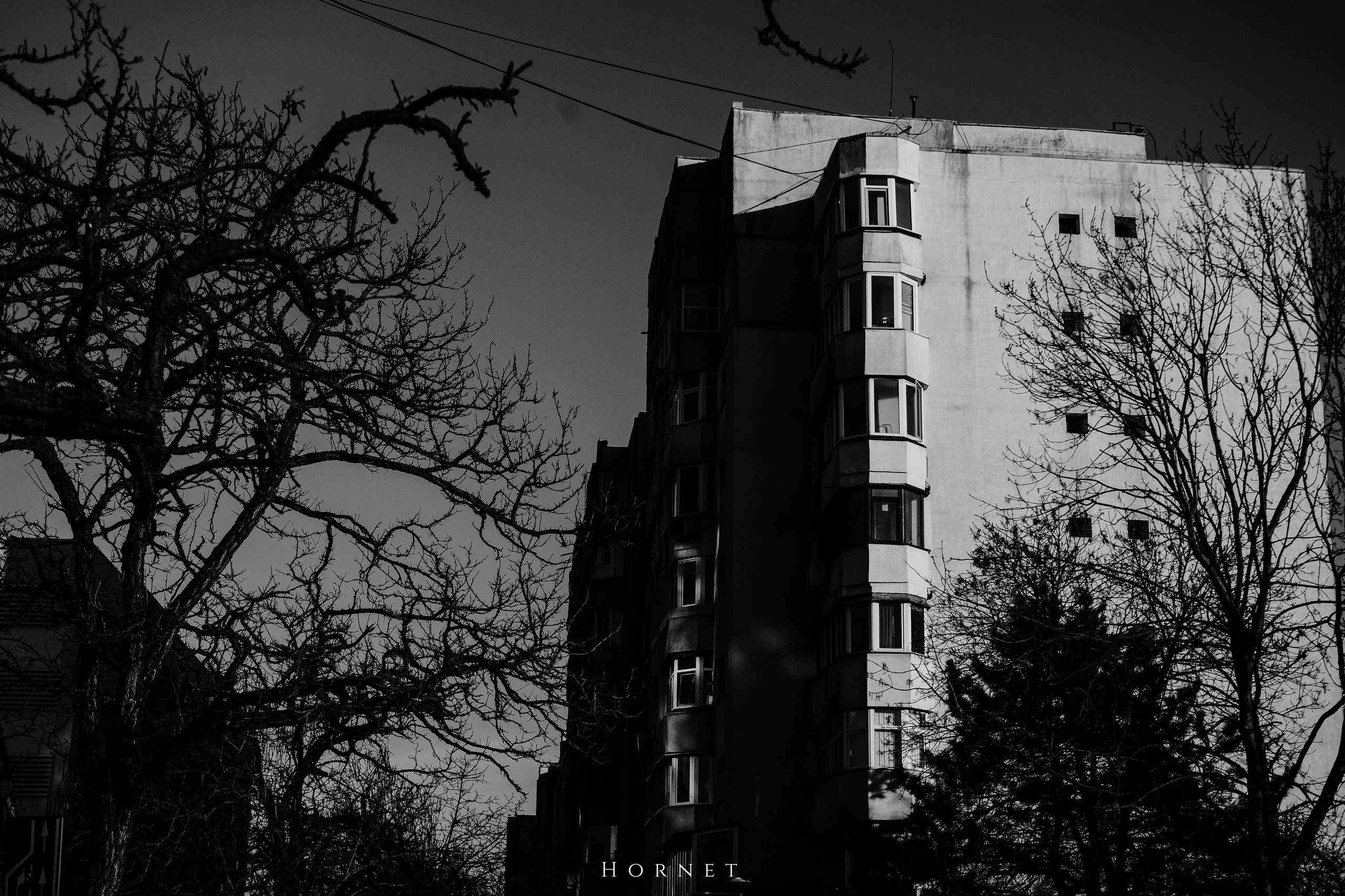 14.03.2026 Ploiesti | Romania. Hornetart