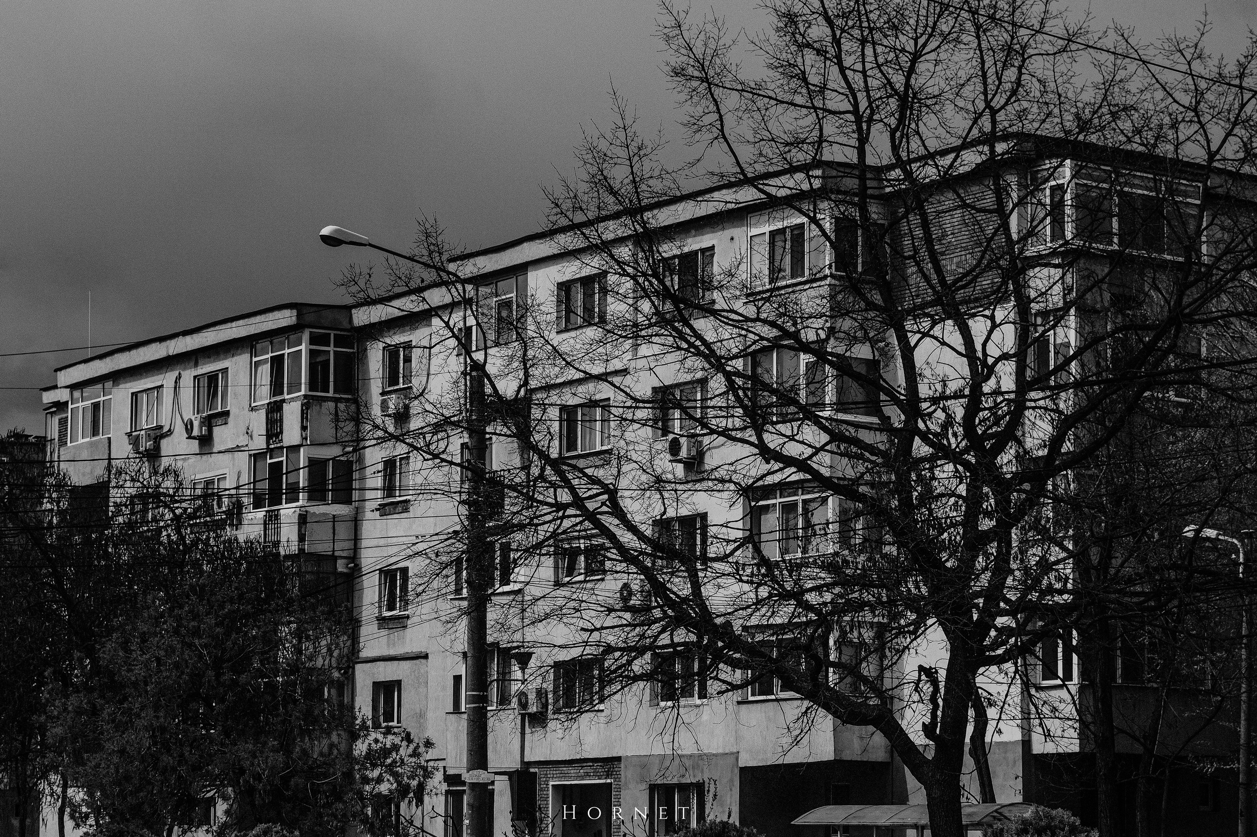 5.04.2025 Ploiesti | Romania. Hornetart