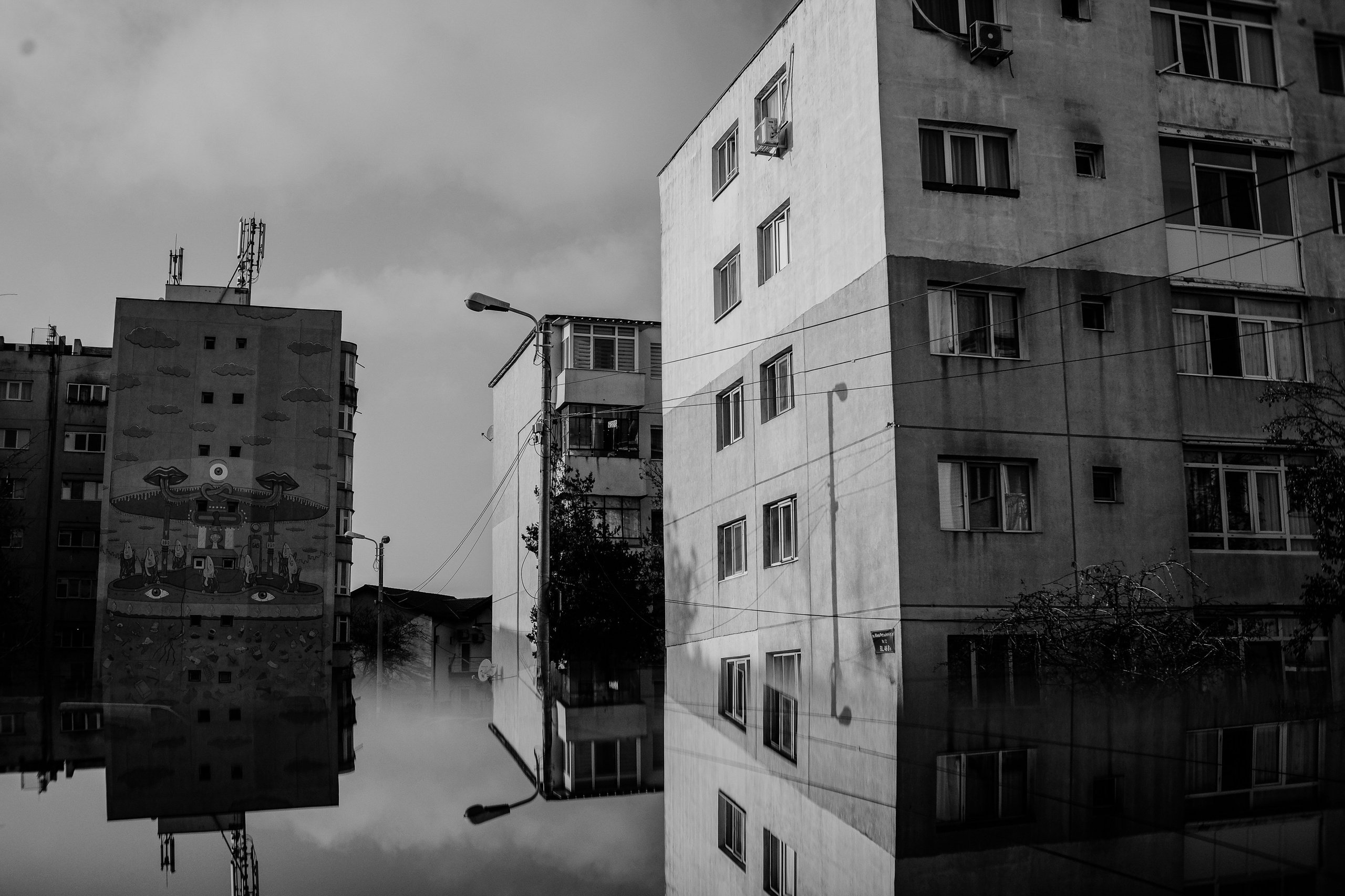 22.11.2025 Ploiesti | Romania. Hornetart