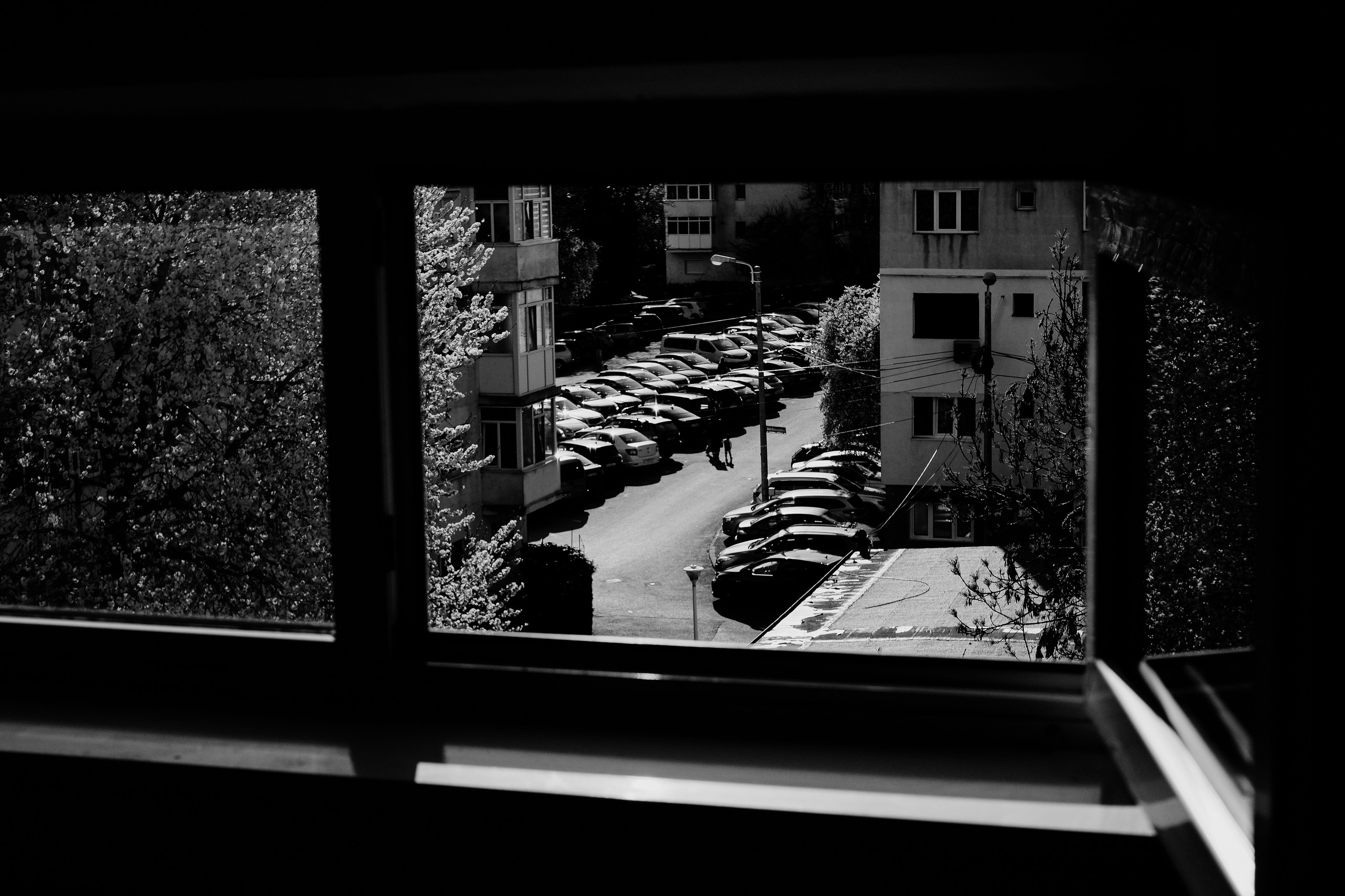 5.04.2026 Ploiesti | Romania. Hornetart
