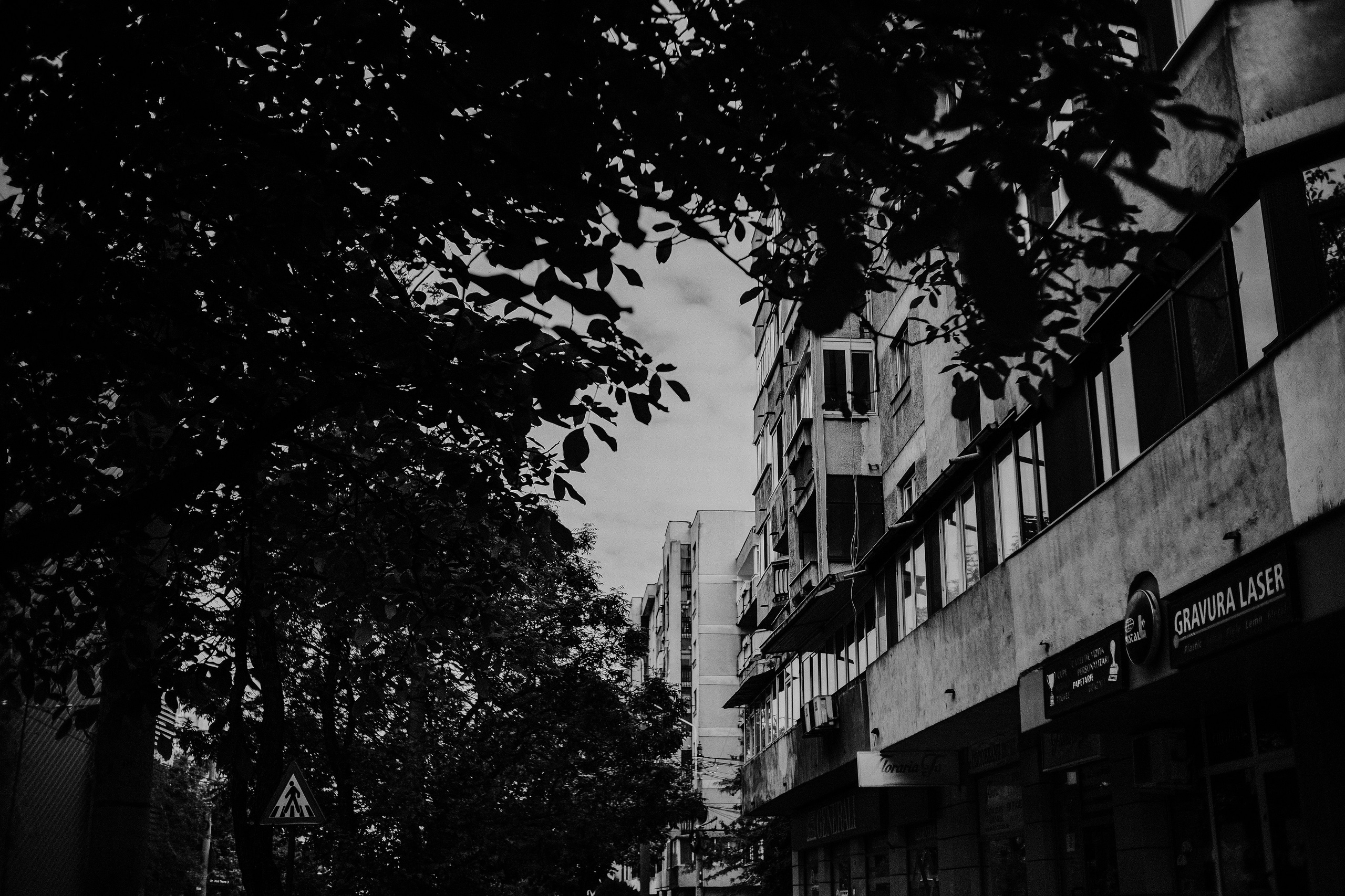 10.05.2025 Ploiesti | Romania. Hornetart