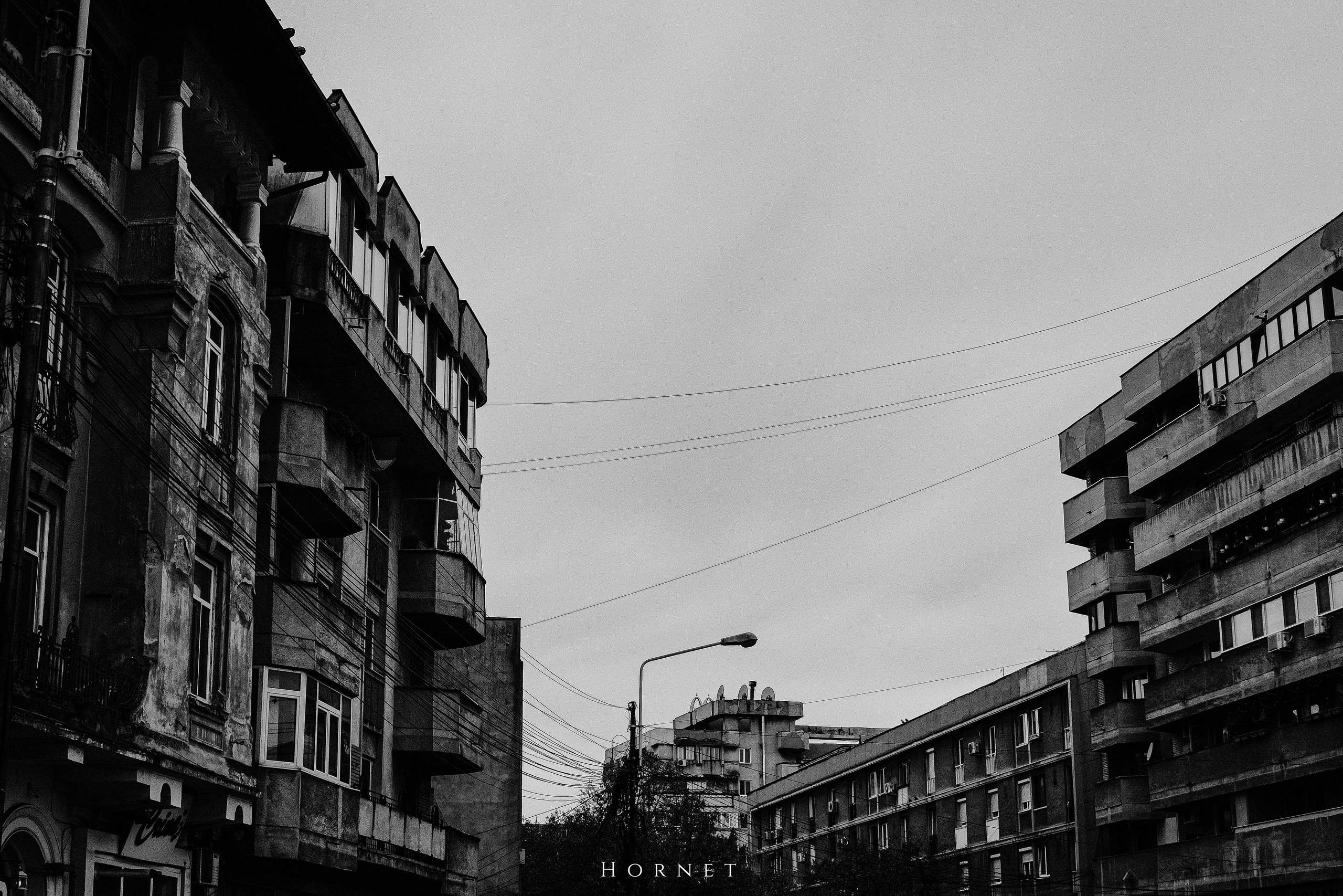 7.01.2025 Ploiesti | Romania. Hornetart
