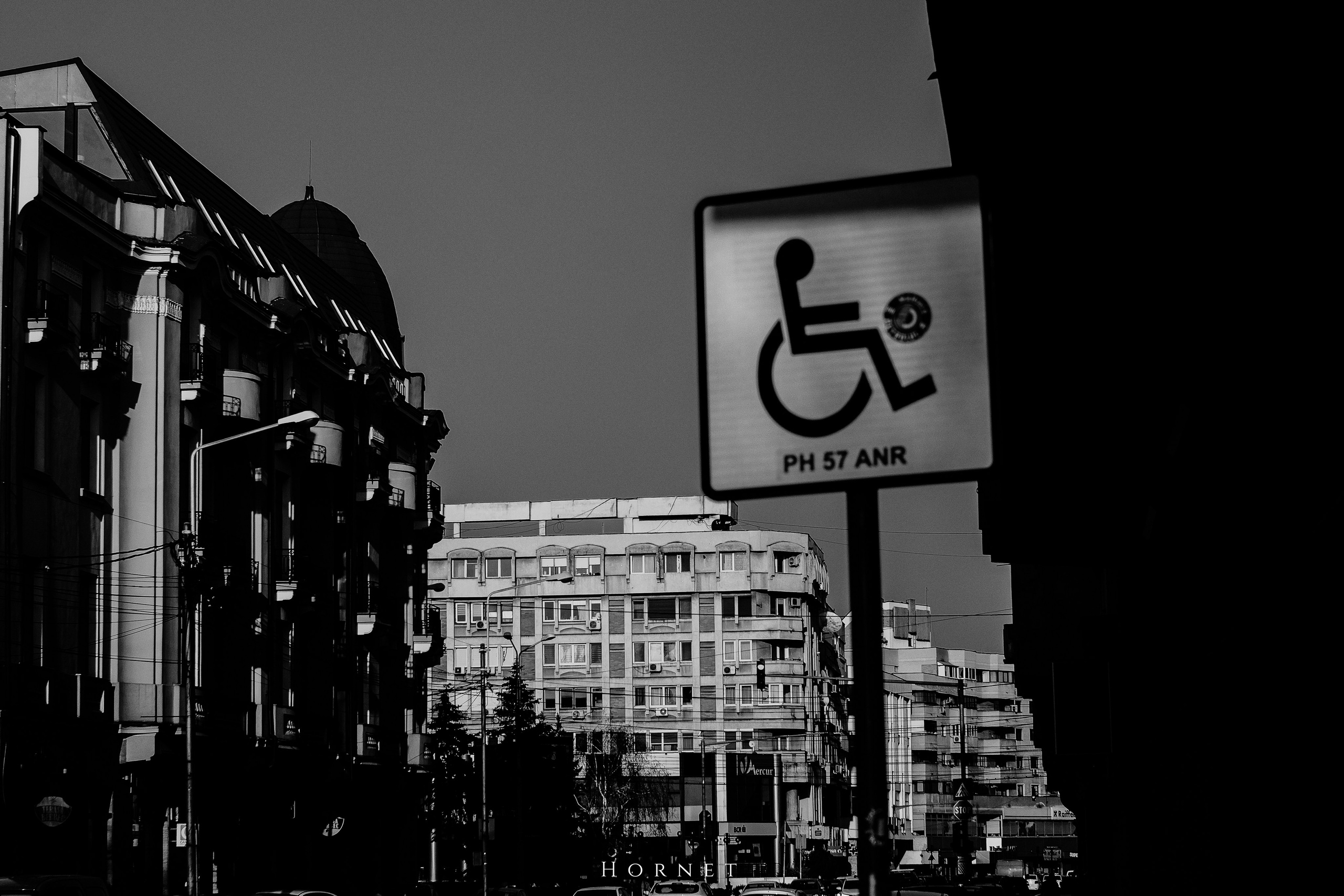 7.02.2025 Ploiesti | Romania. Hornetart