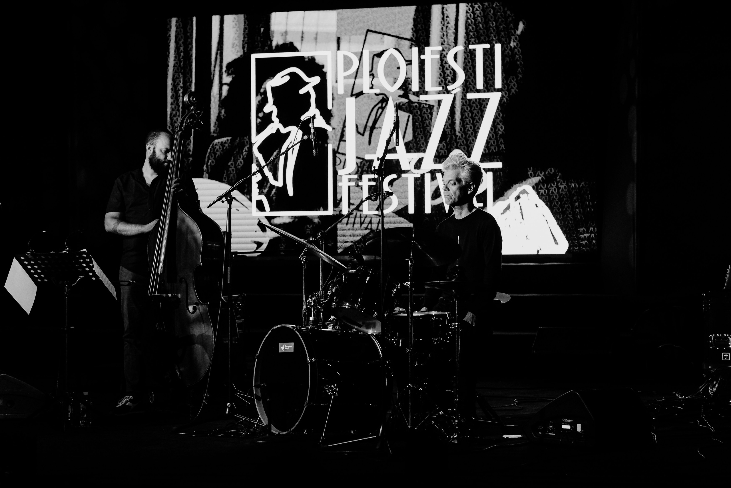 Maria Joao Quartet. Hornetart