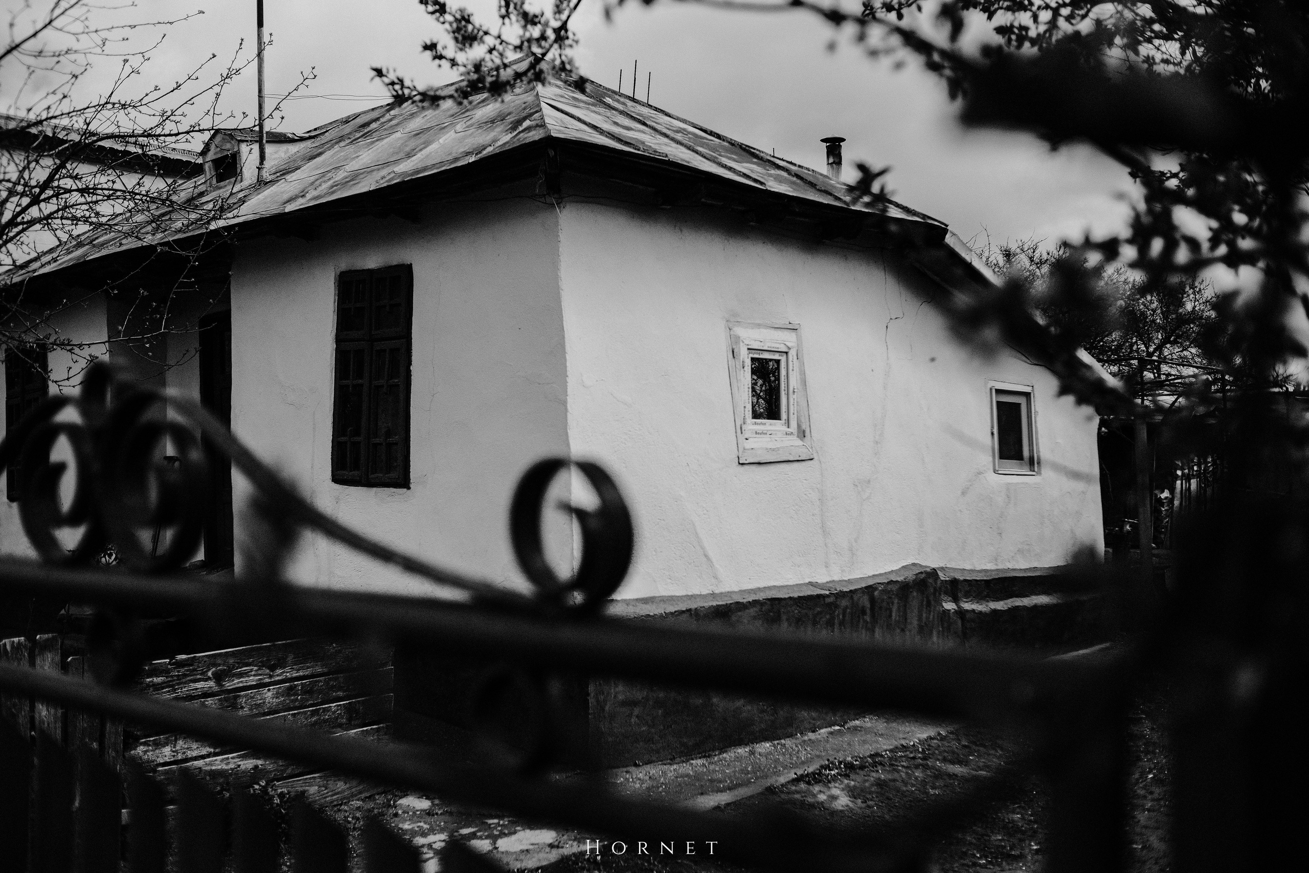 30.03.2025 Buzau | Romania. Hornetart