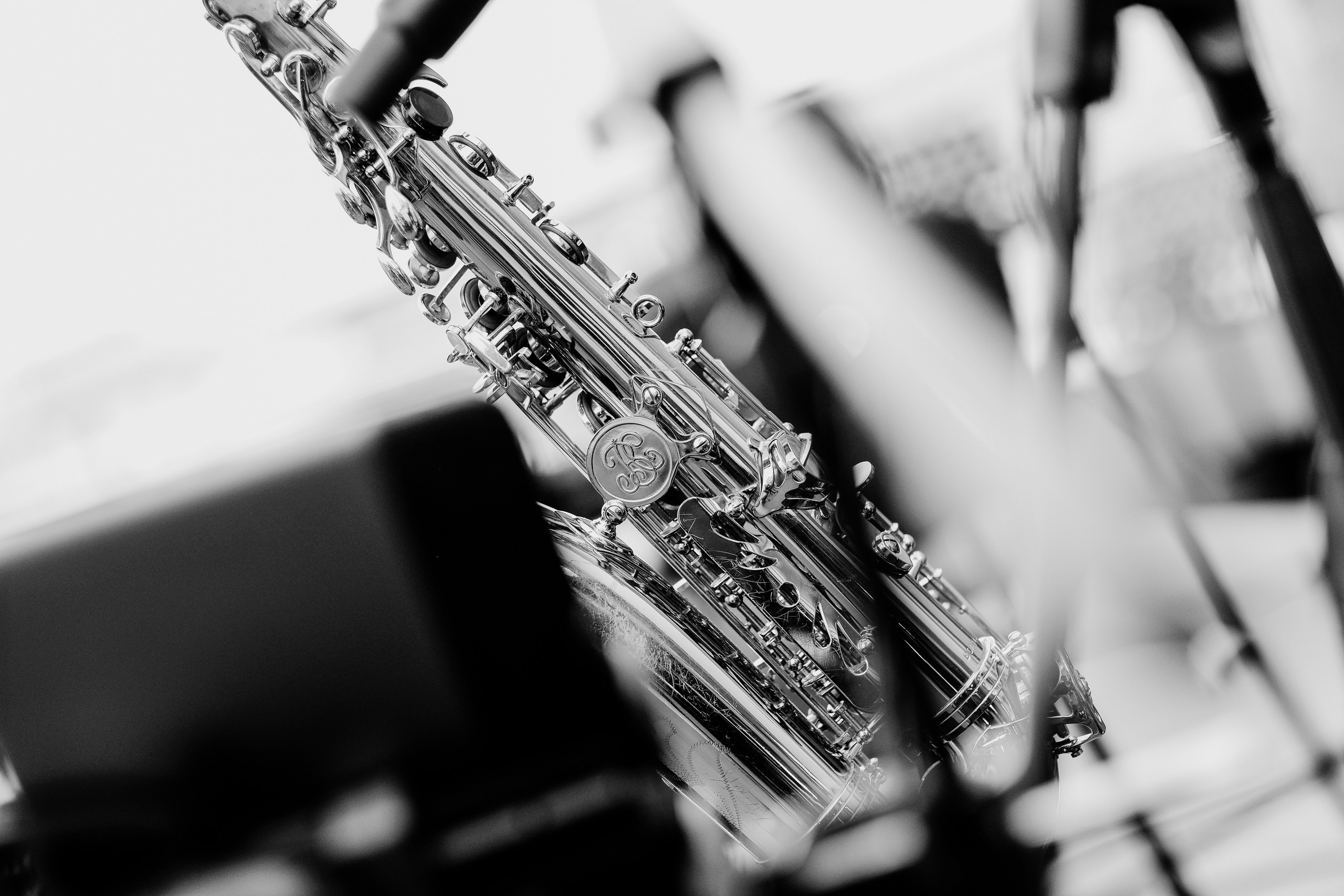 David Luca Trio. Hornetart