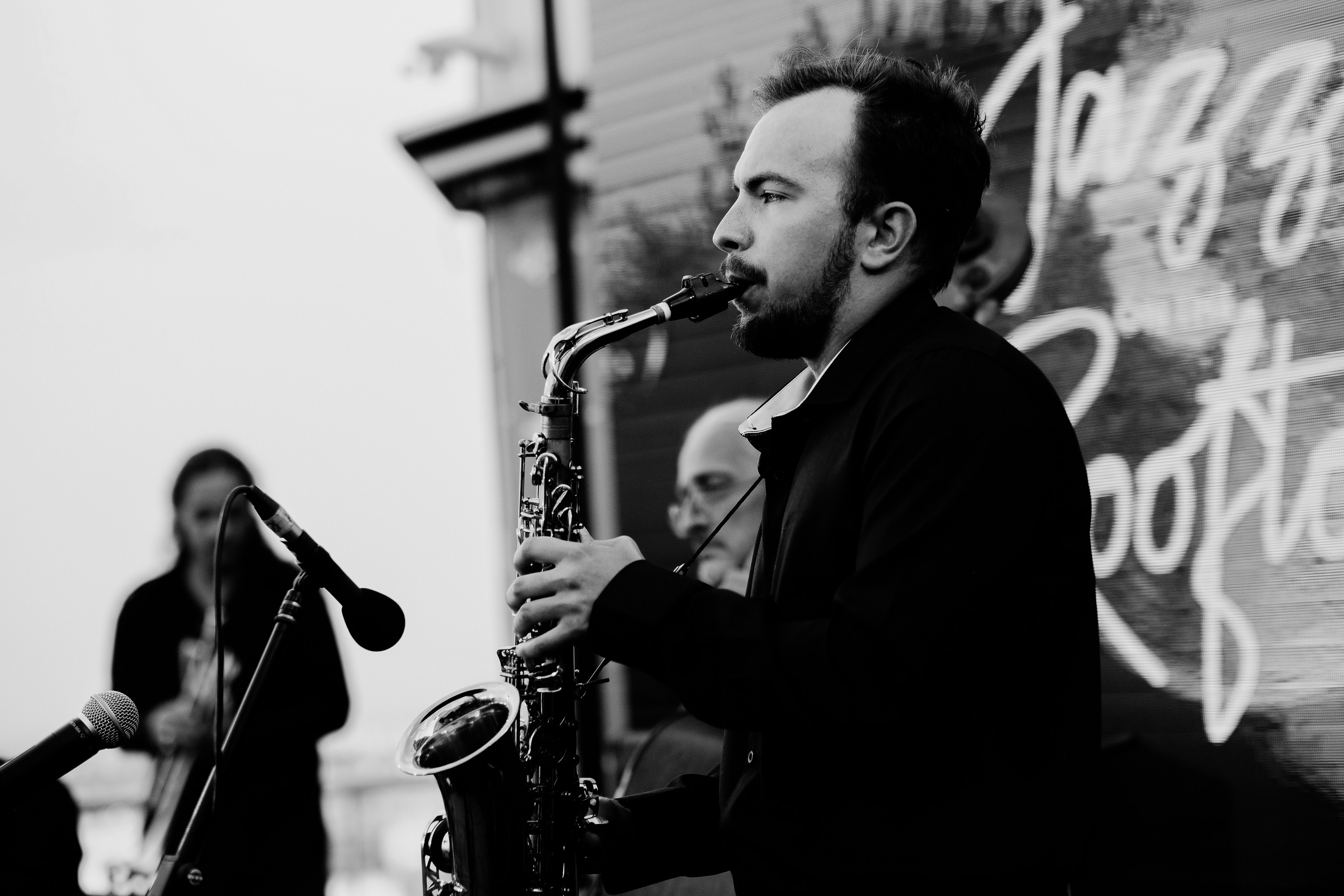 David Luca Trio. Hornetart