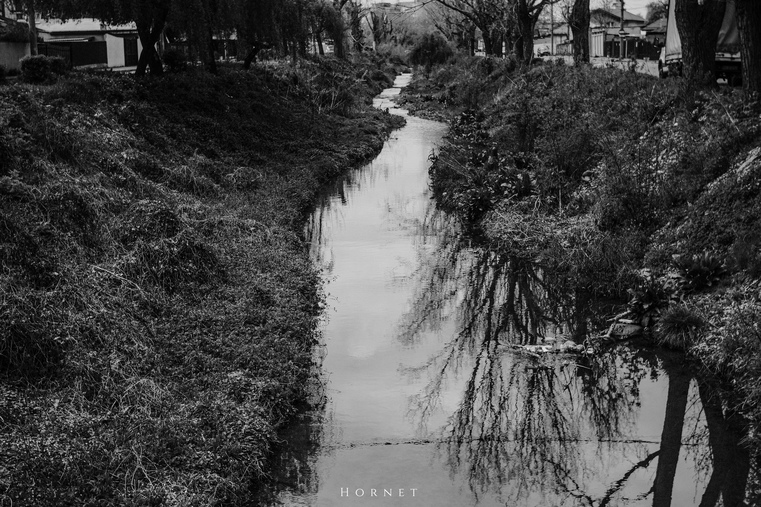 12.04.2025 Ploiesti | Romania. Hornetart