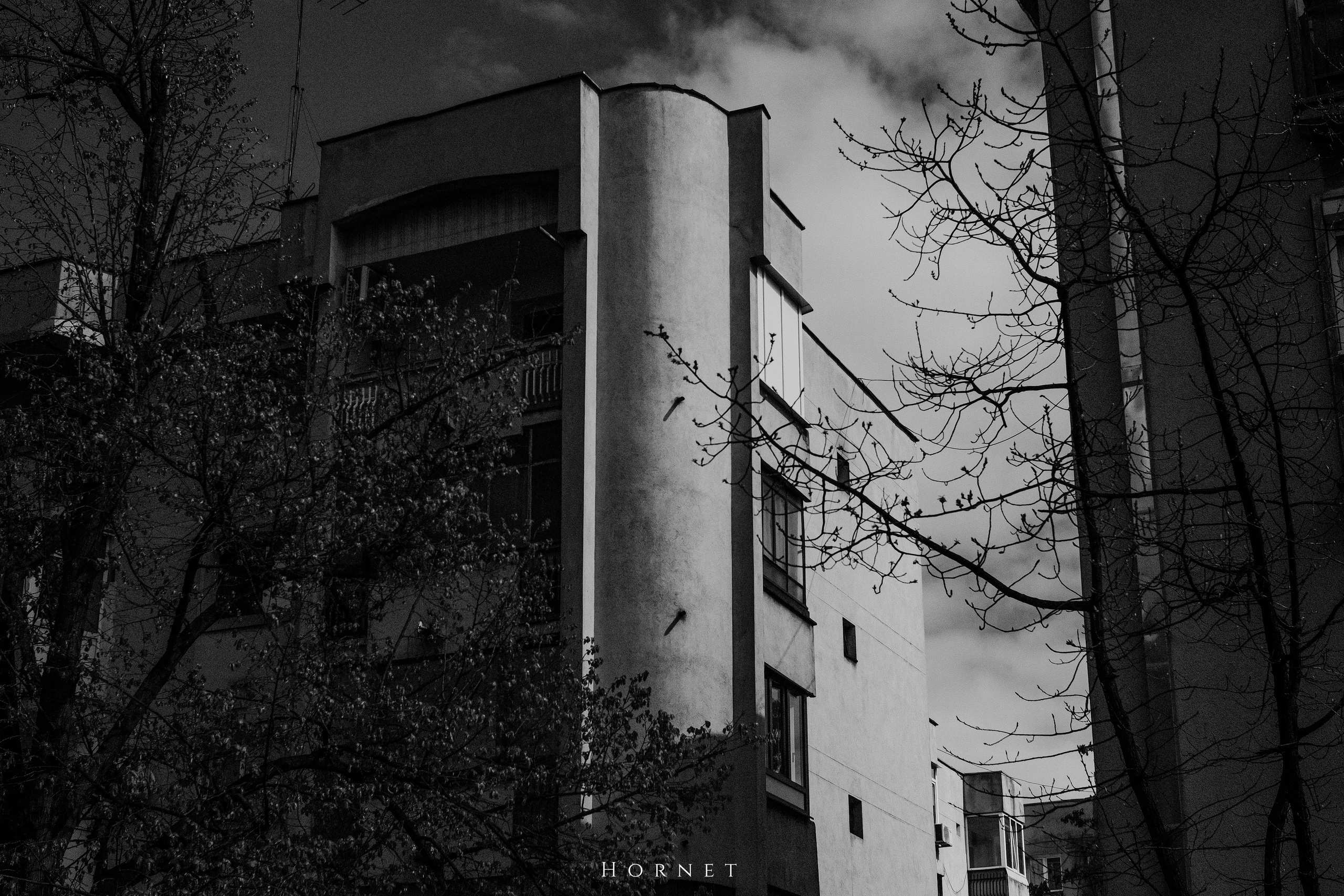 12.04.2025 Ploiesti | Romania. Hornetart