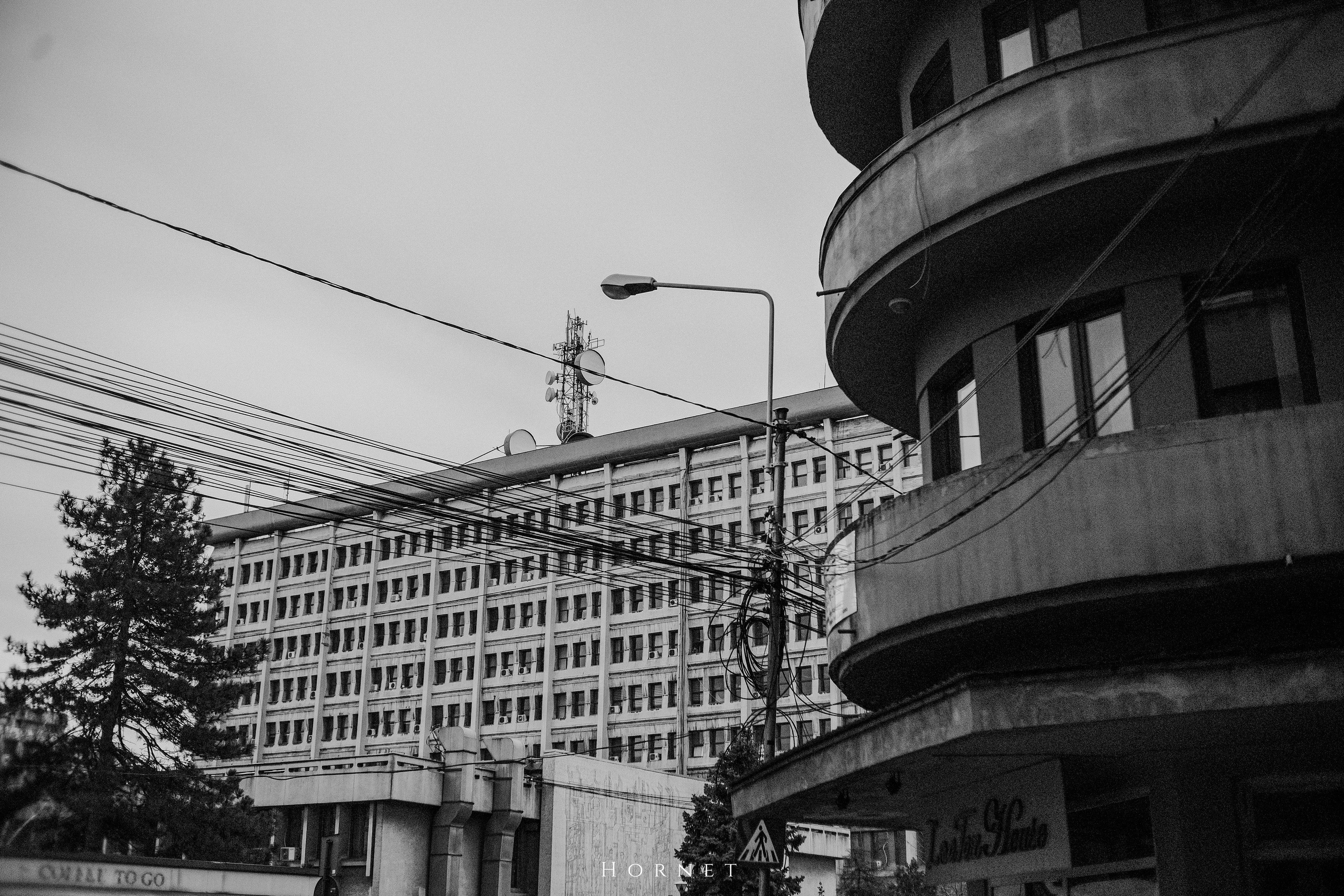 7.01.2025 Ploiesti | Romania. Hornetart