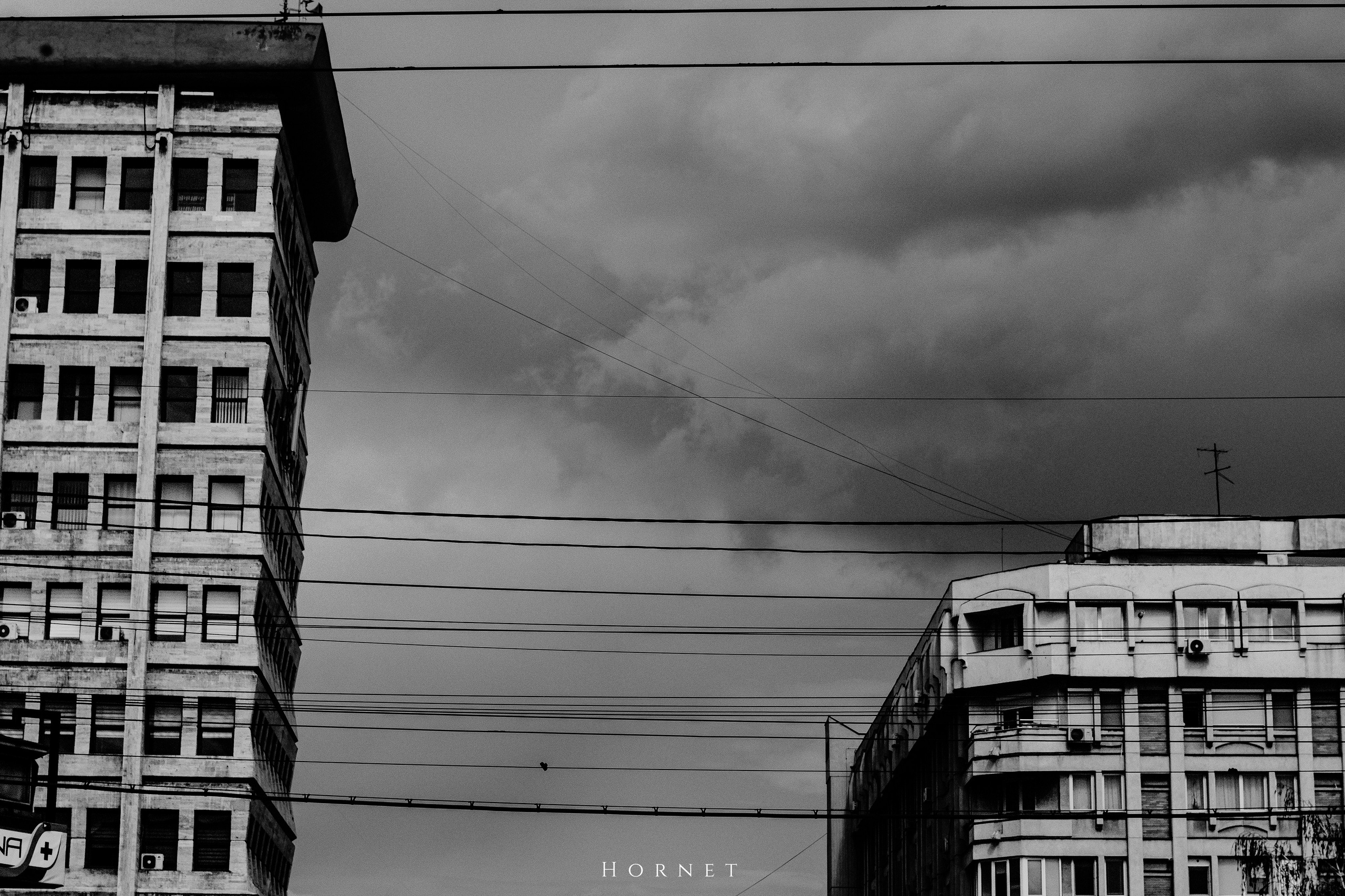 5.04.2025 Ploiesti | Romania. Hornetart