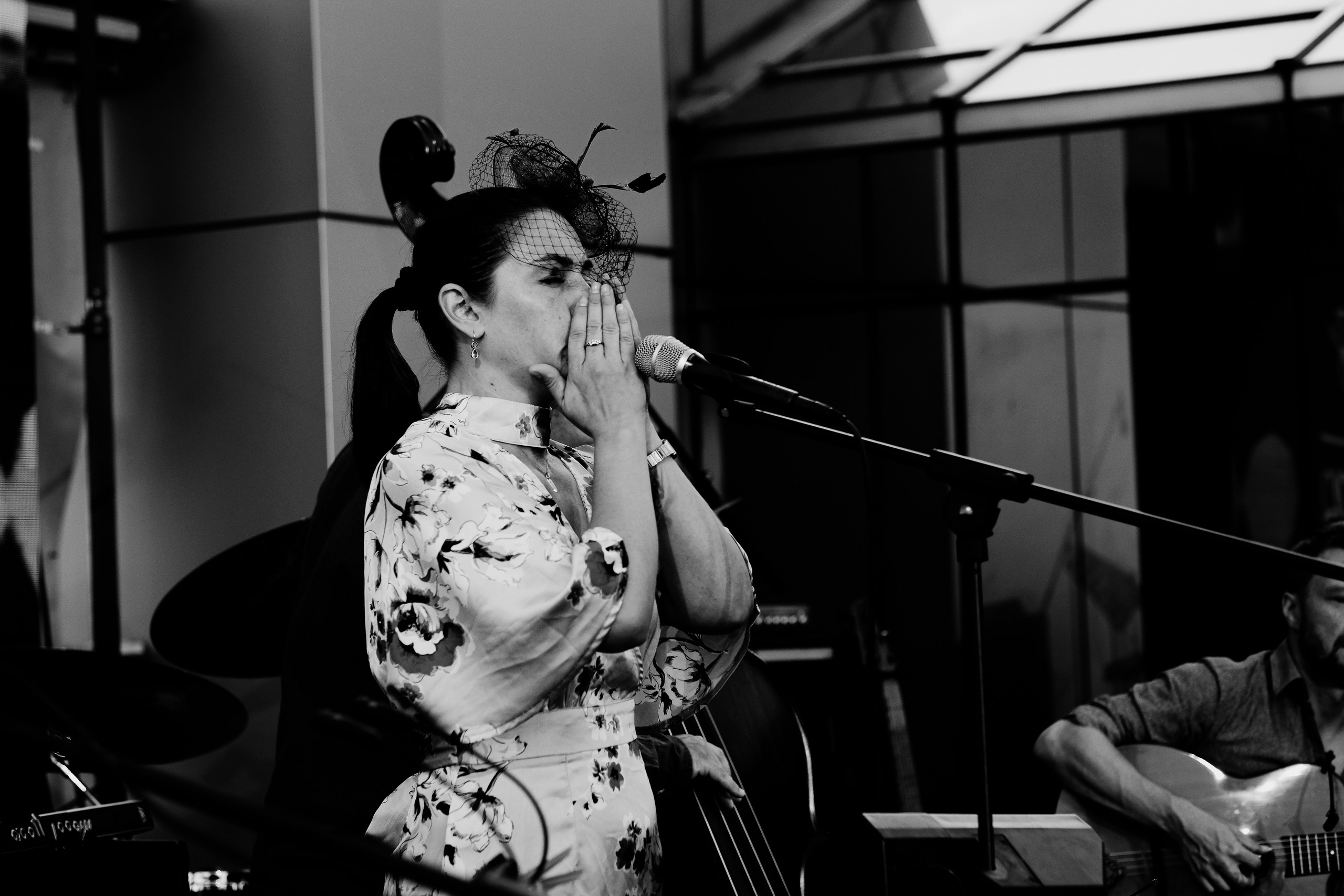 Luiza Zan & Jazzpar Trio. Hornetart