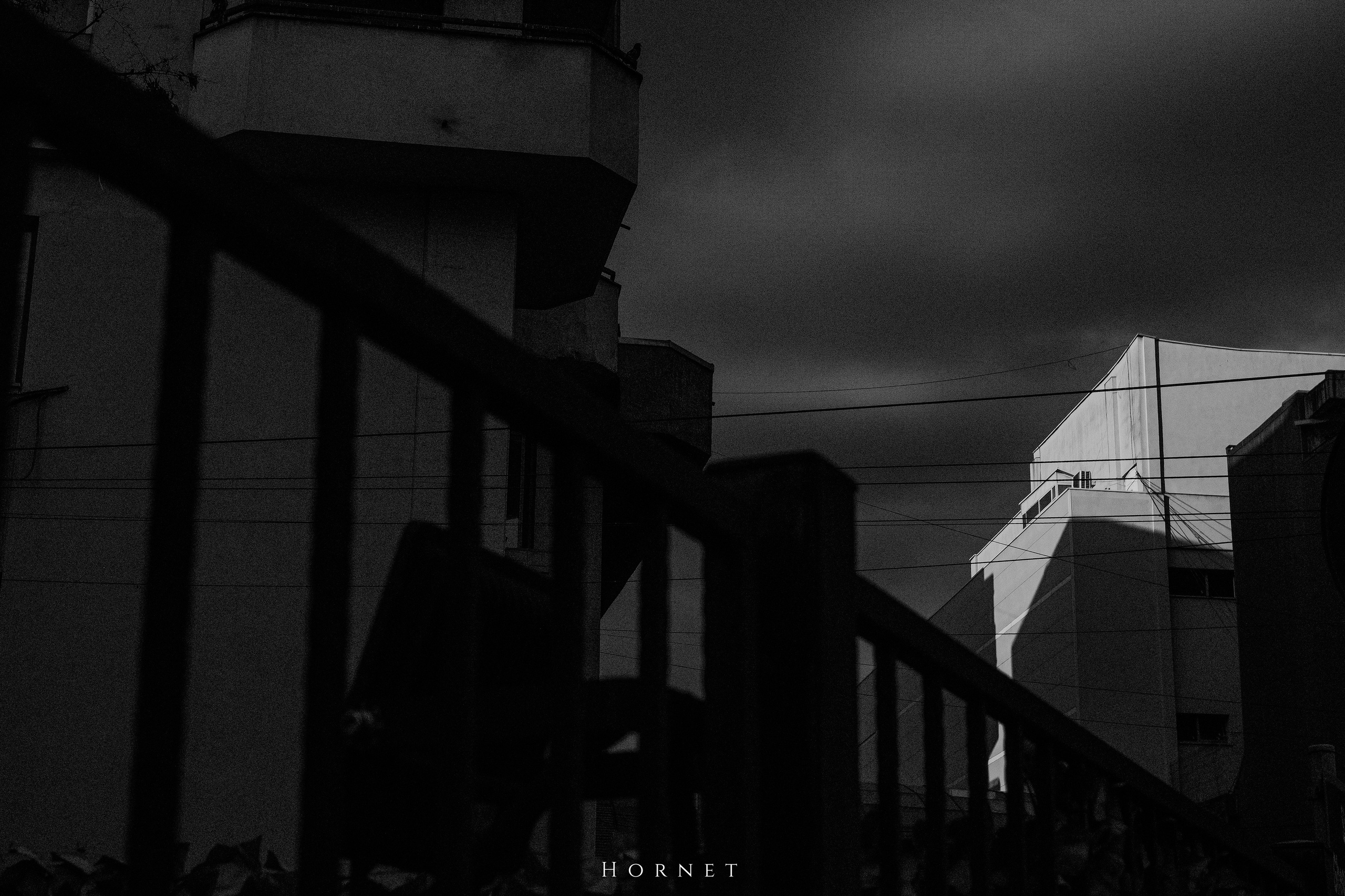 12.04.2025 Ploiesti | Romania. Hornetart