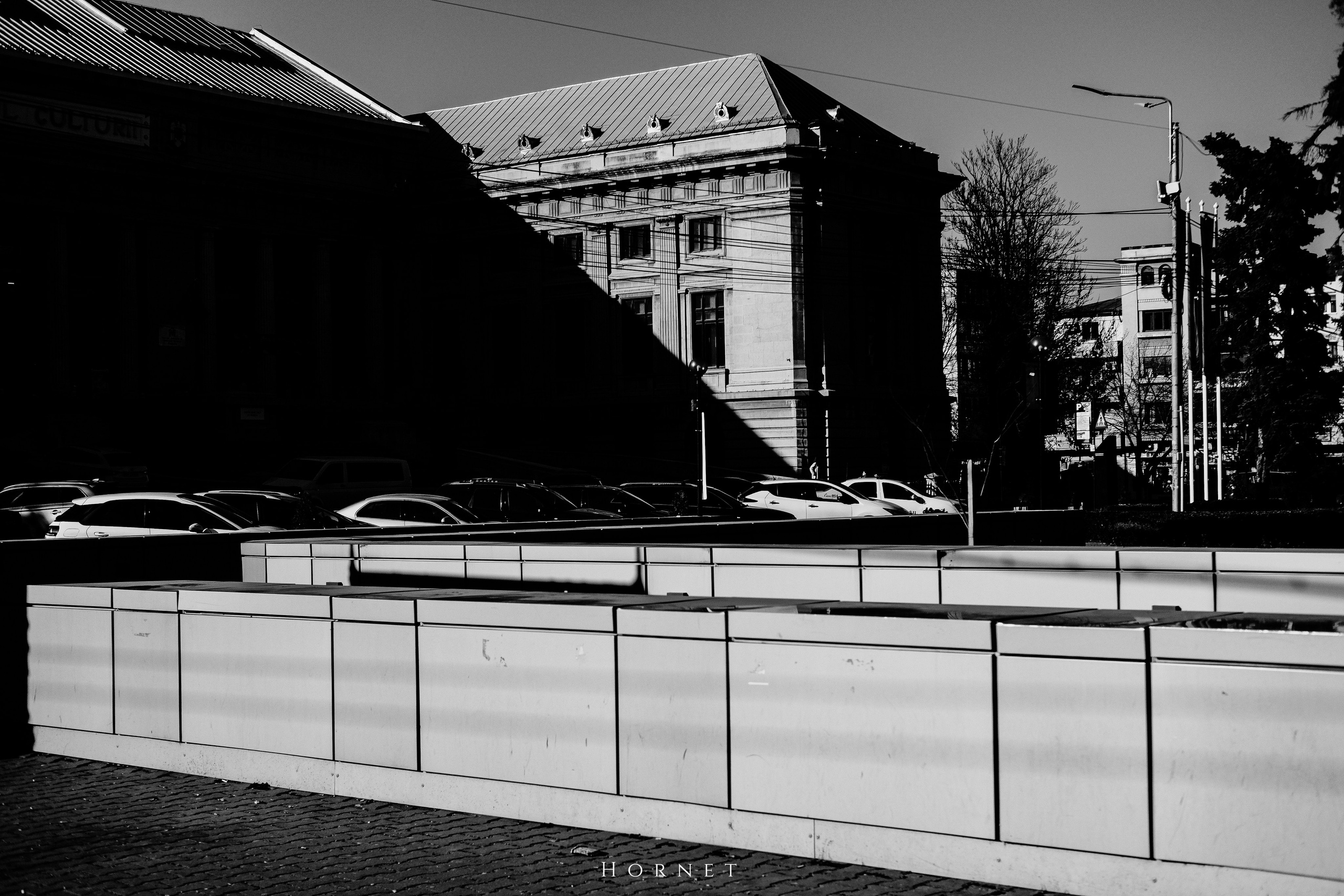 14.03.2026 Ploiesti | Romania. Hornetart