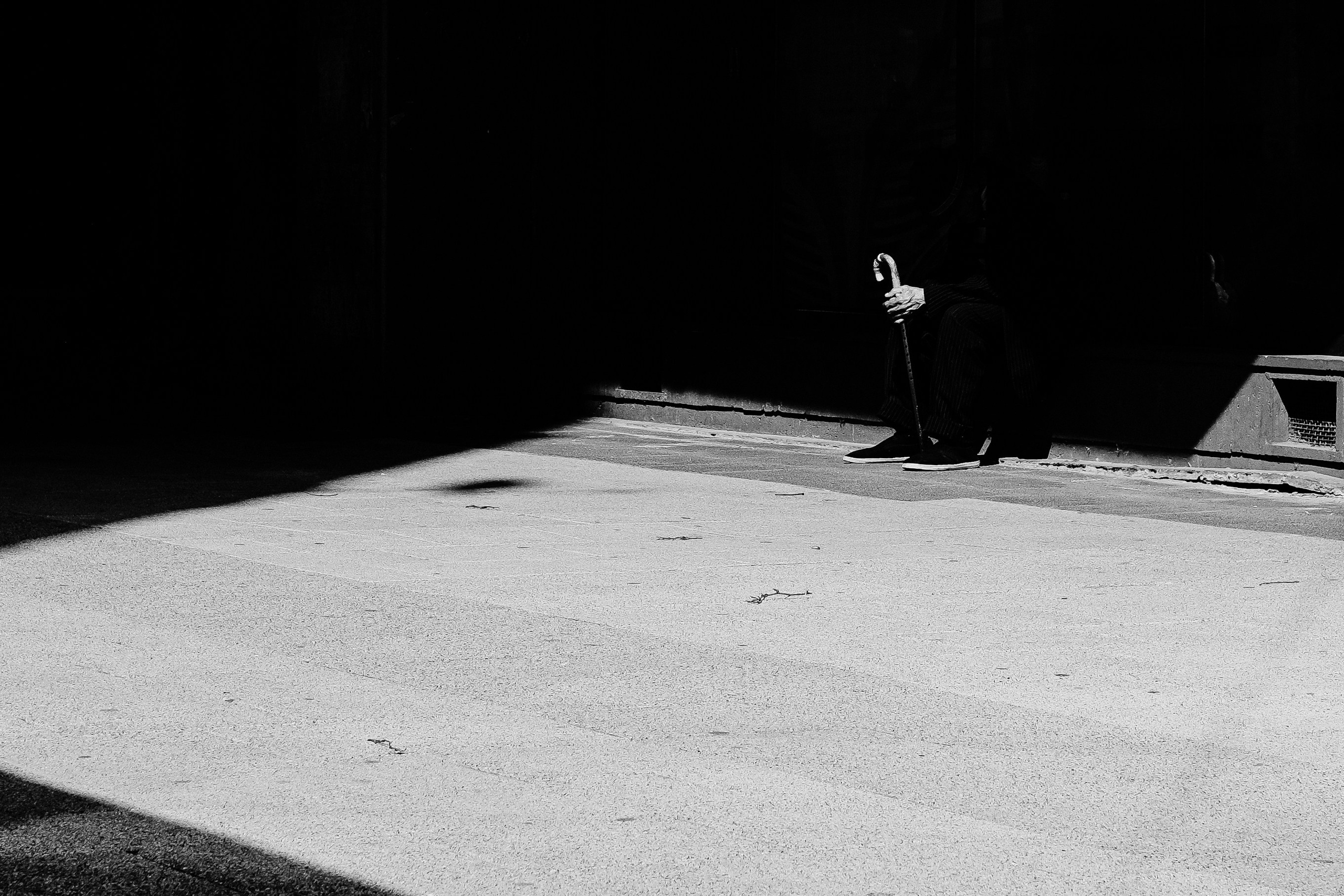 21.06.2025 Ploiesti | Romania. Hornetart